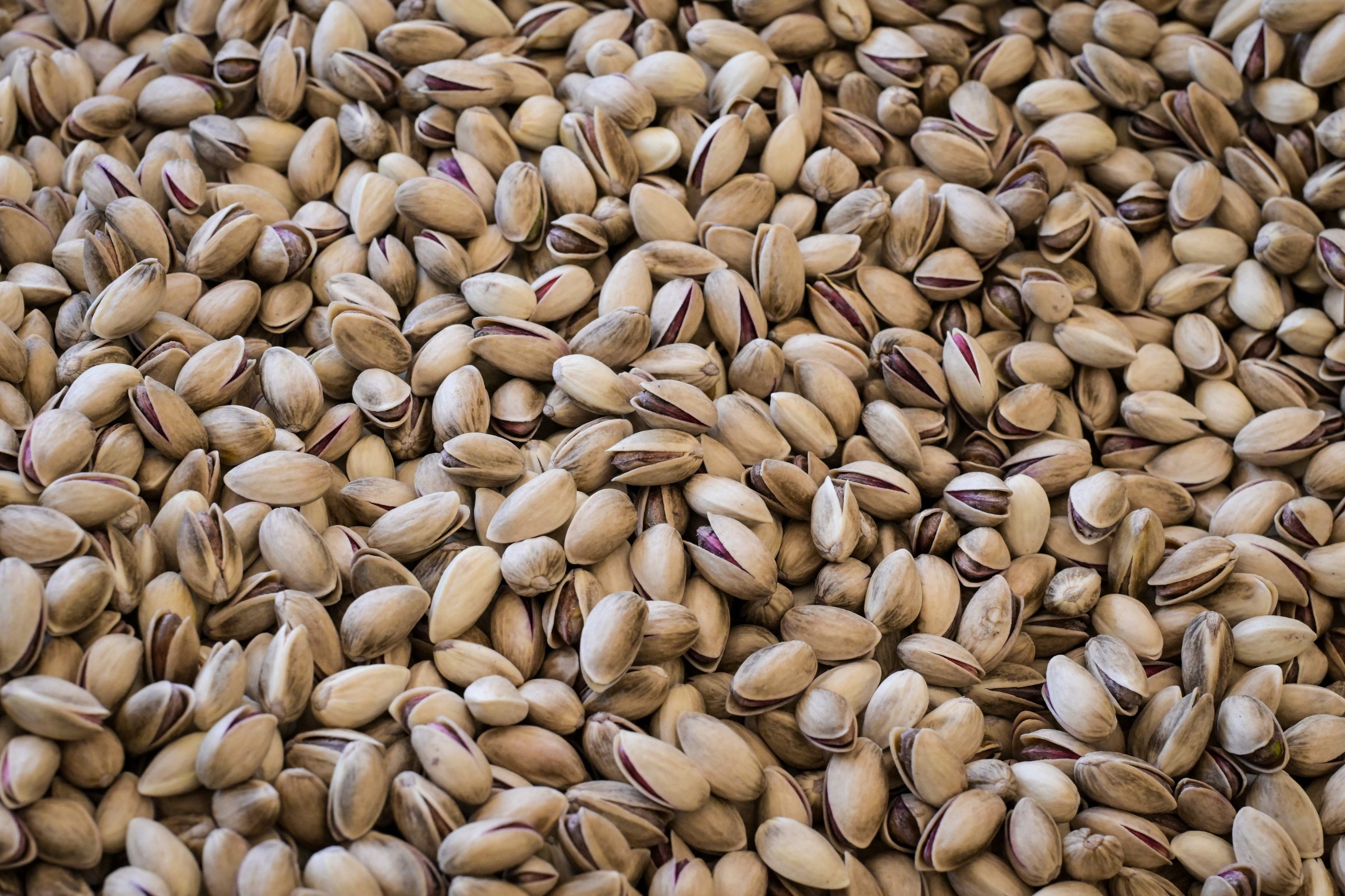 'Last generation': Greek island's fading pistachio tradition