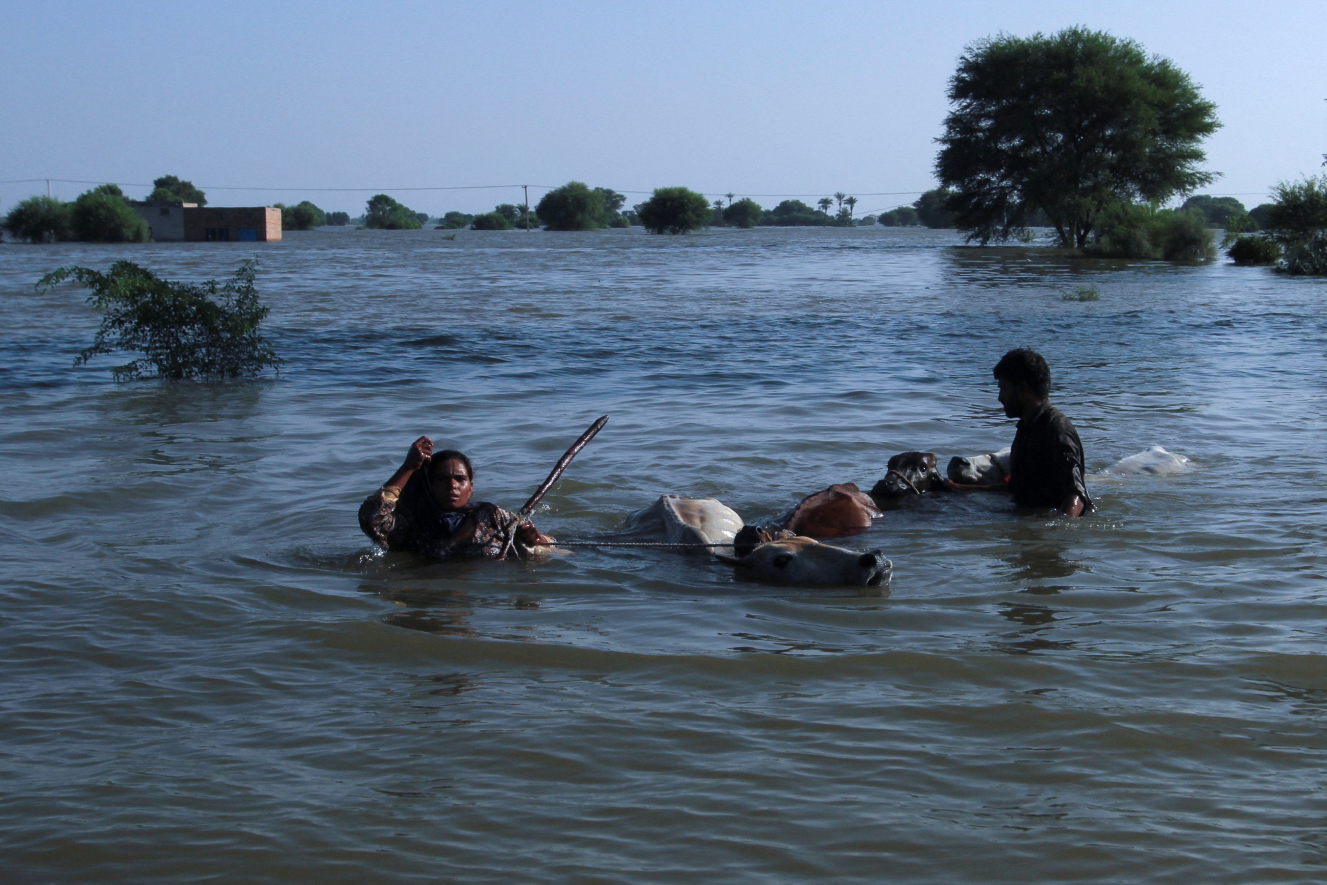 Rescuers in Pakistan scramble to save residents