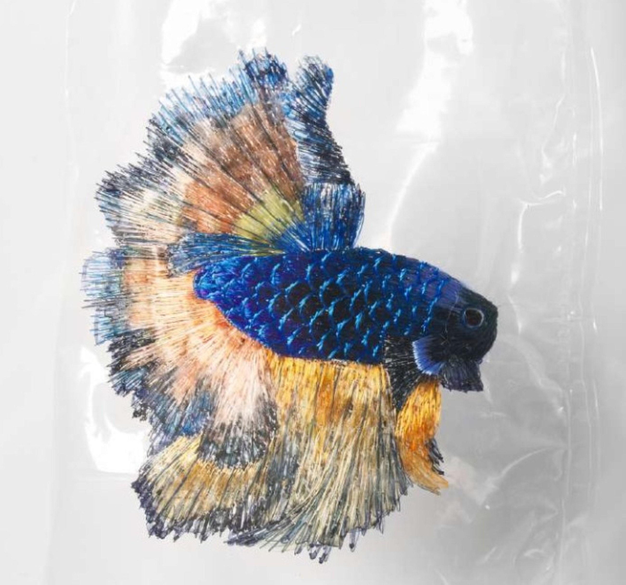 Rizq Art Initiative Abu Dhabi hosts The Imaginary Museum exhibition