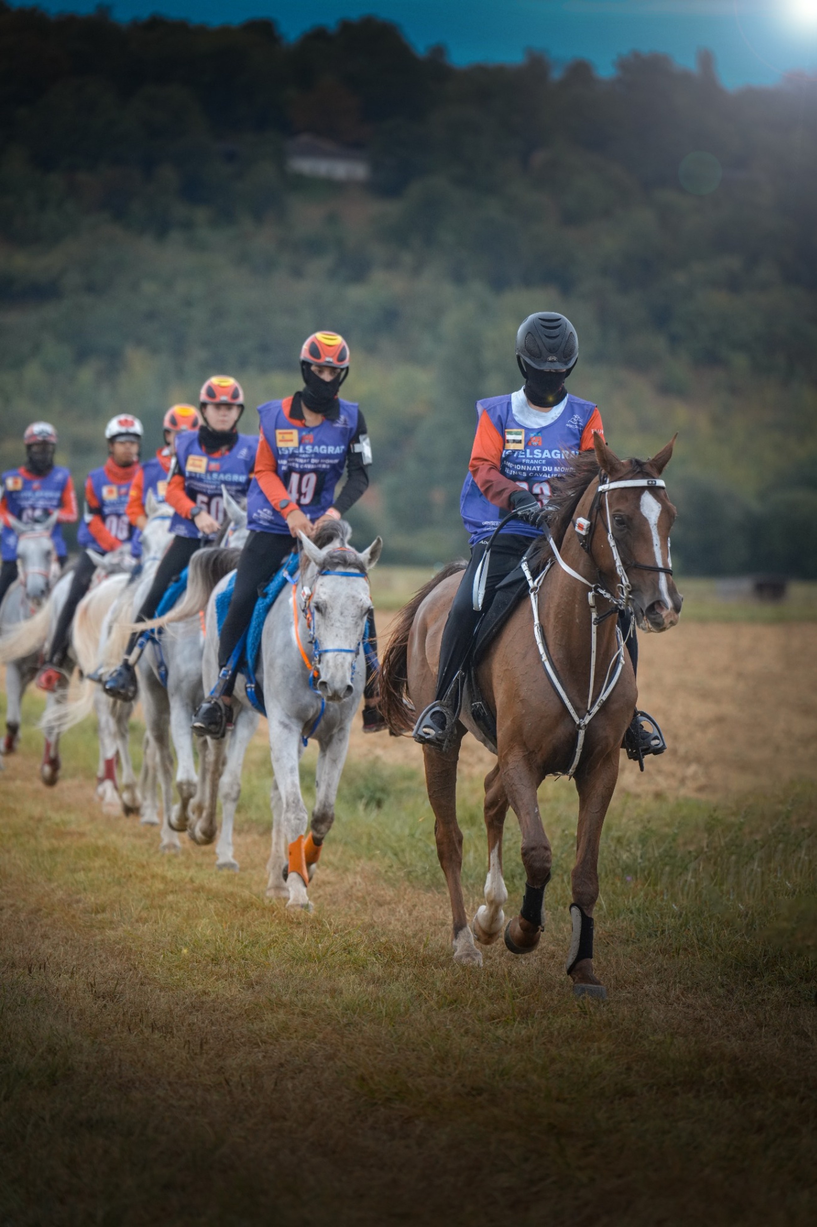 Team UAE set for FEI Young Rider and Juniors World Championship title defence