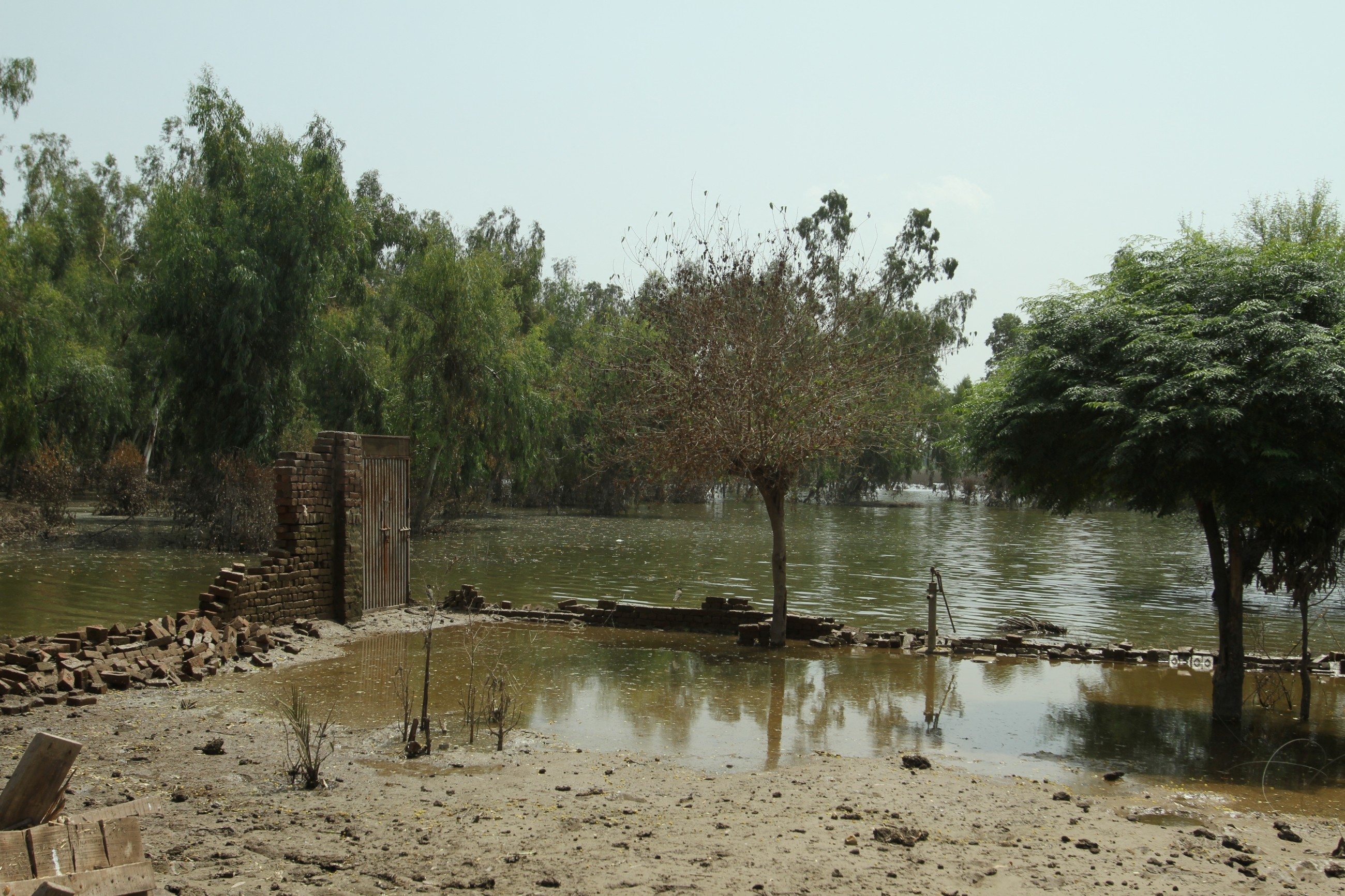 Pakistan floods batter fields, factories and fiscal plans
