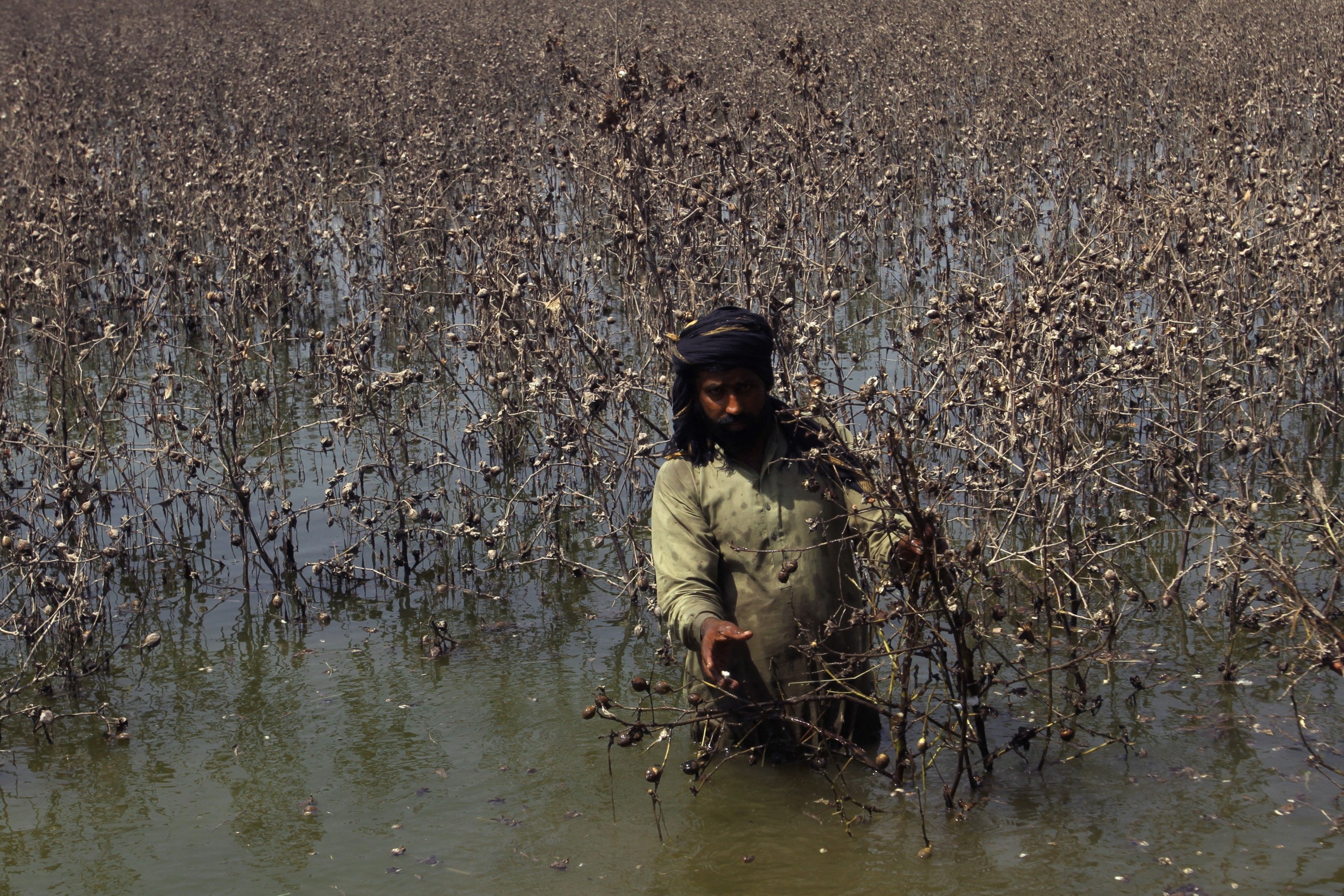 Pakistan floods batter fields, factories and fiscal plans