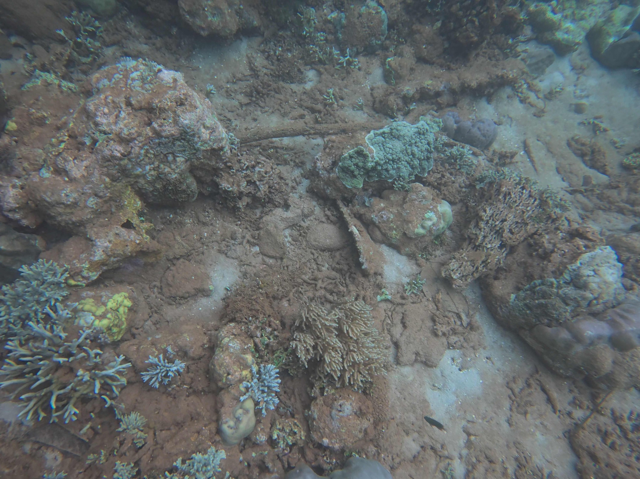 Nickel mining threatens Indonesia coral haven, NGOs warn
