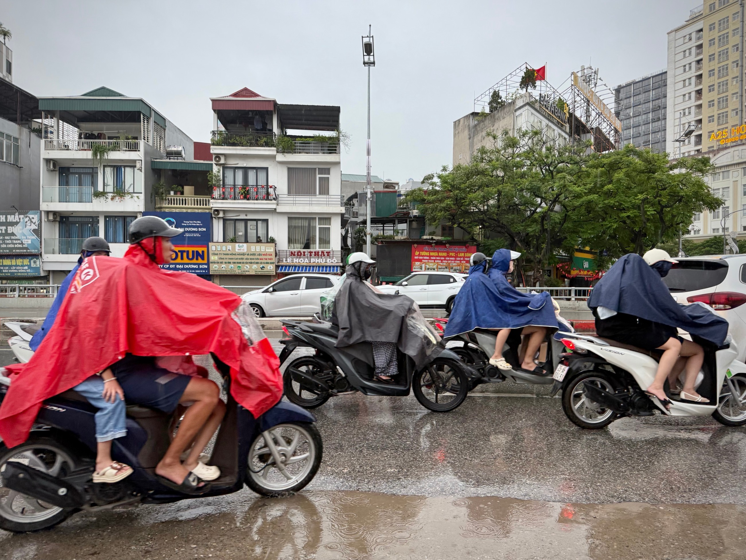 Typhoon Bualoi brings havoc to Vietnam, killing 13 with 46 injured