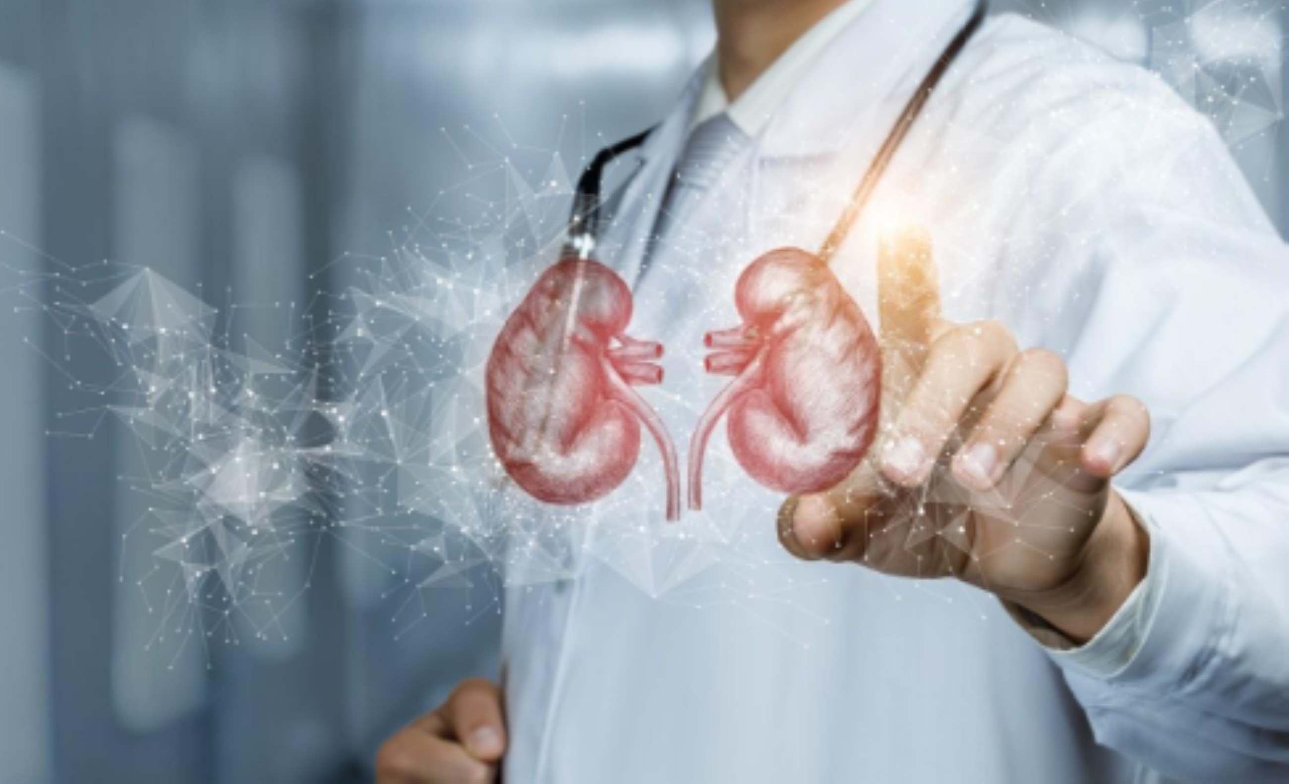 Young night shift workers more at risk of developing kidney stones: Study