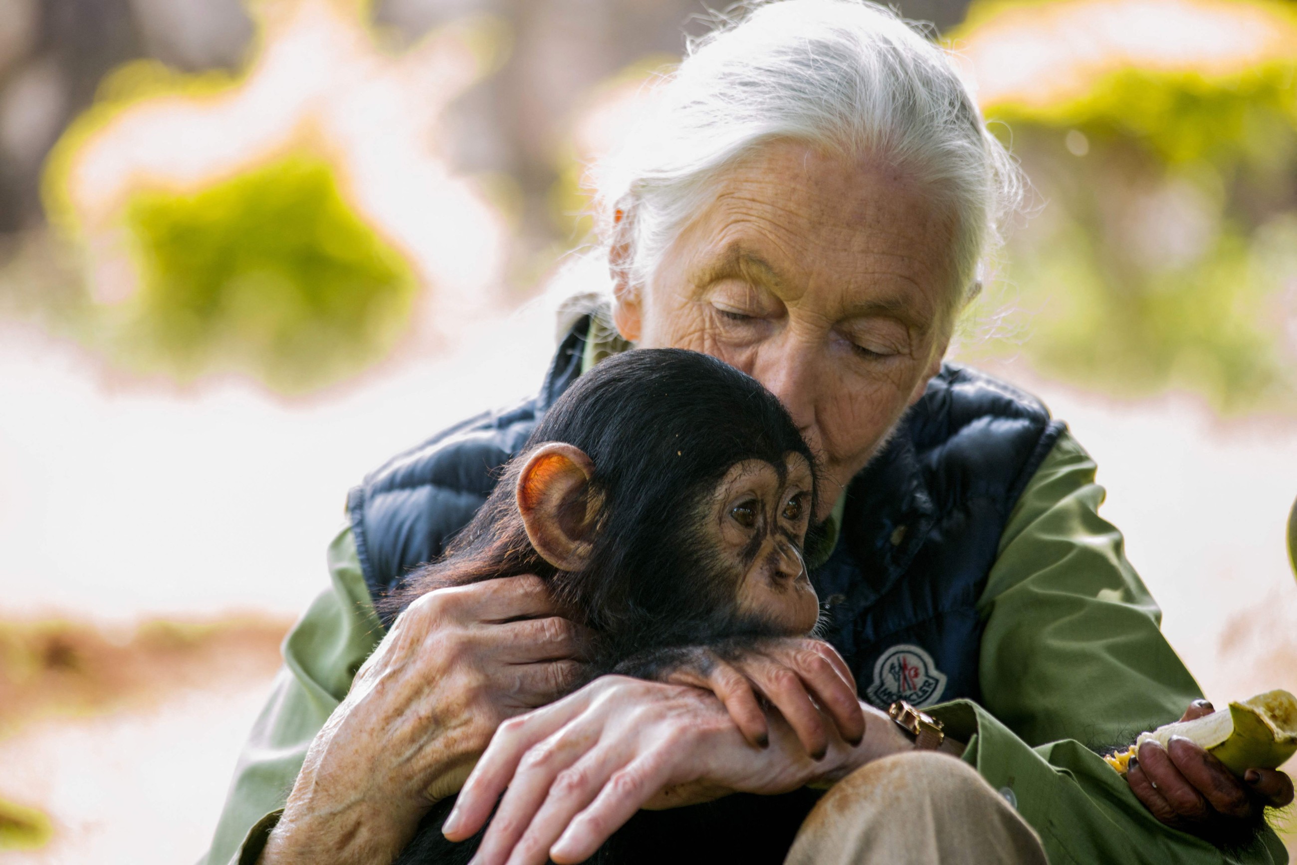 Renowned British chimpanzee expert Jane Goodall dies at 91
