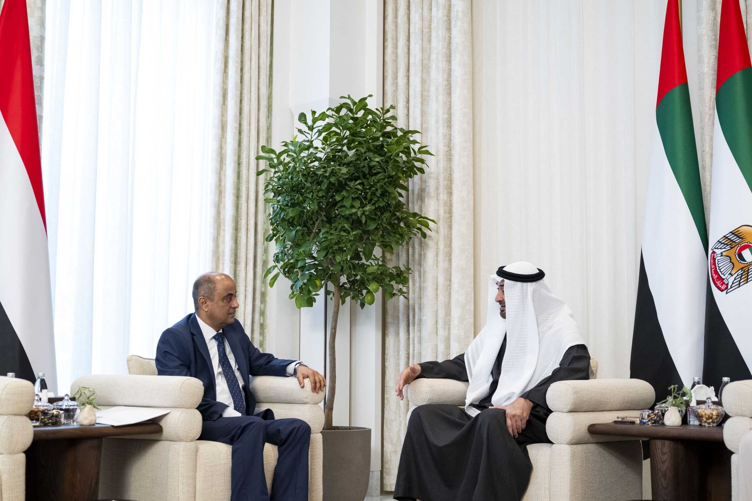 UAE President, Yemeni PM discuss ways to enhance bilateral relations
