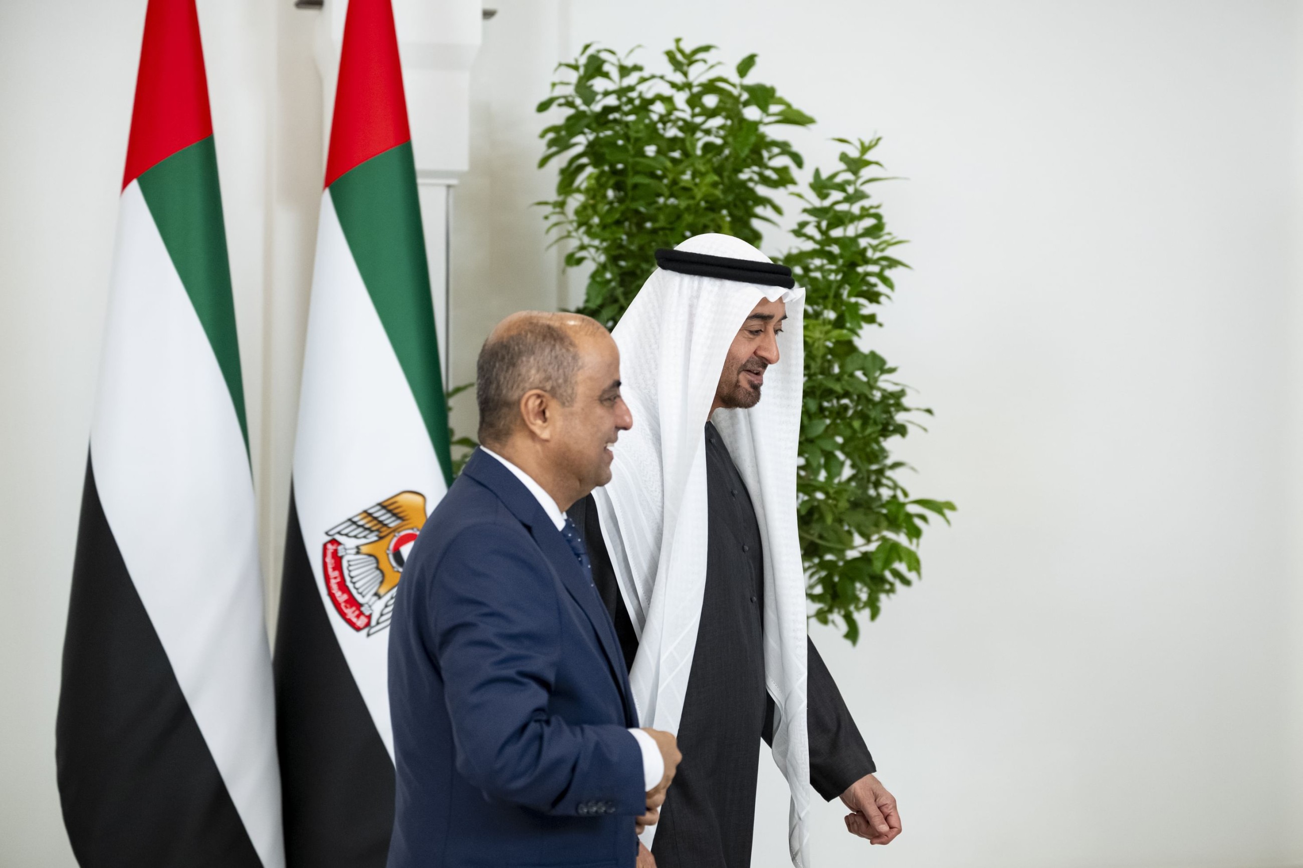 UAE President, Yemeni PM discuss ways to enhance bilateral relations
