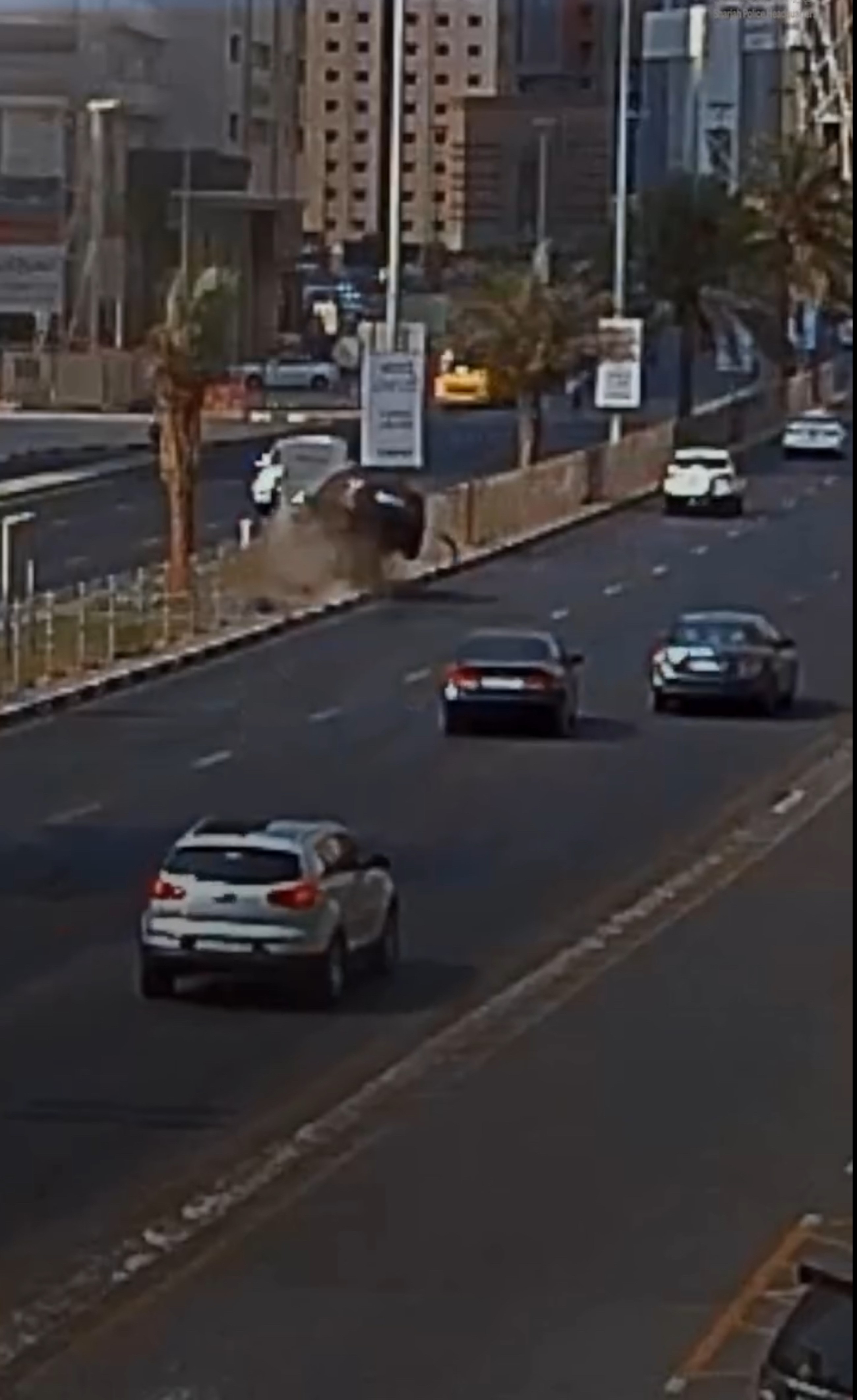 Sharjah Police say mobile phone distractions caused 267 traffic accidents this year so far