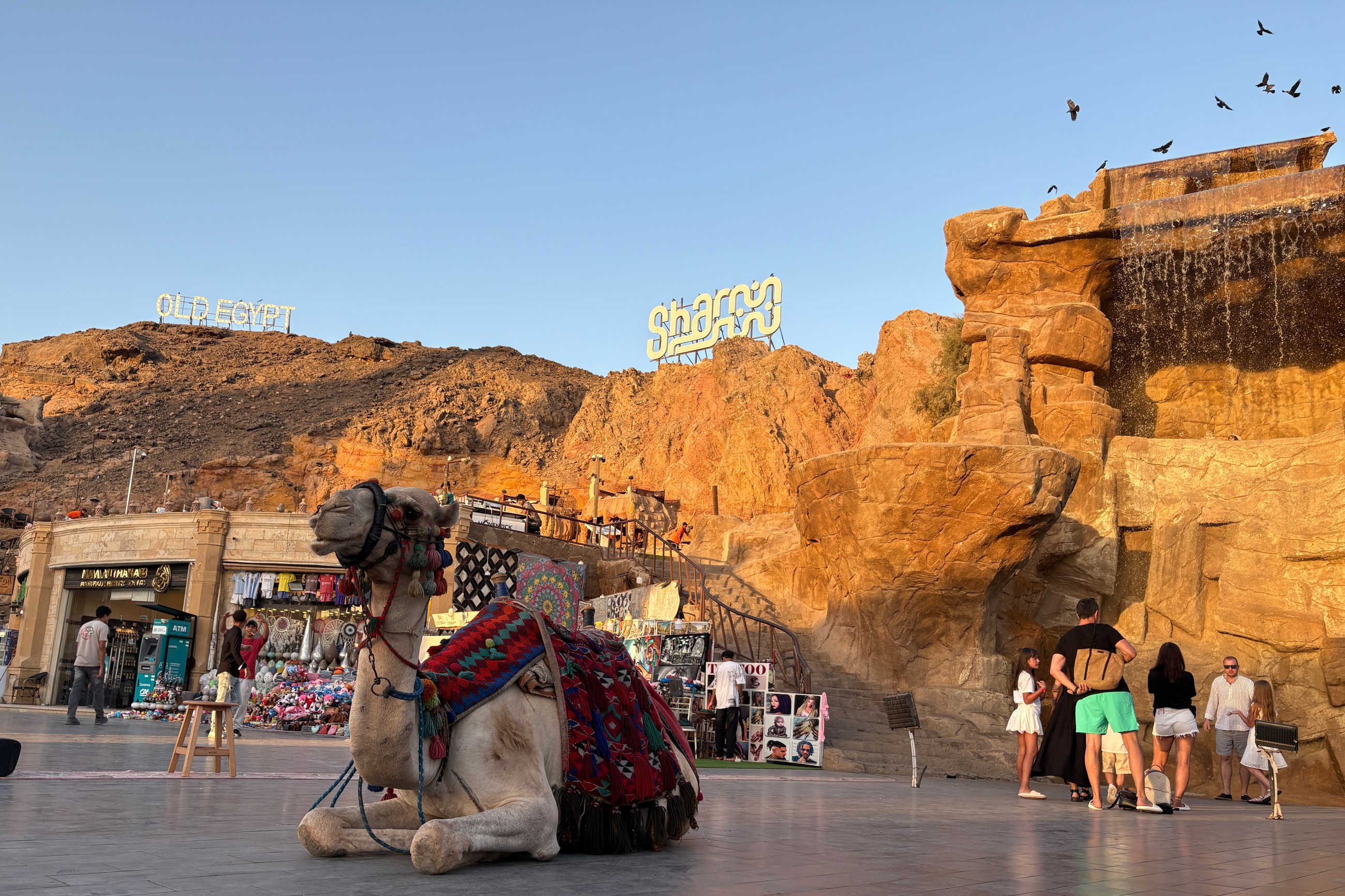 Talks begin in Egypt on Trump's plan to end Gaza war