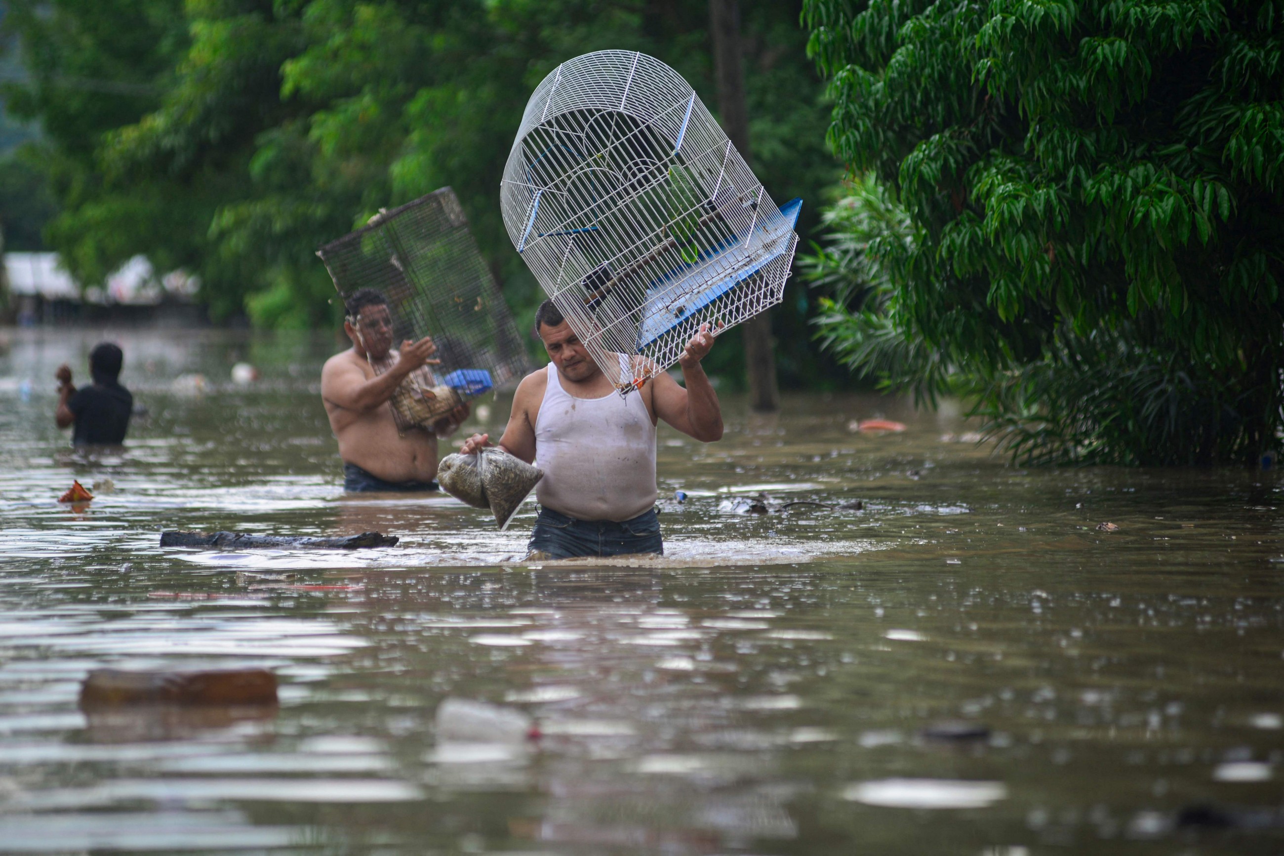 Heavy rain in Mexico sets off floods and landslides, killing at least 37