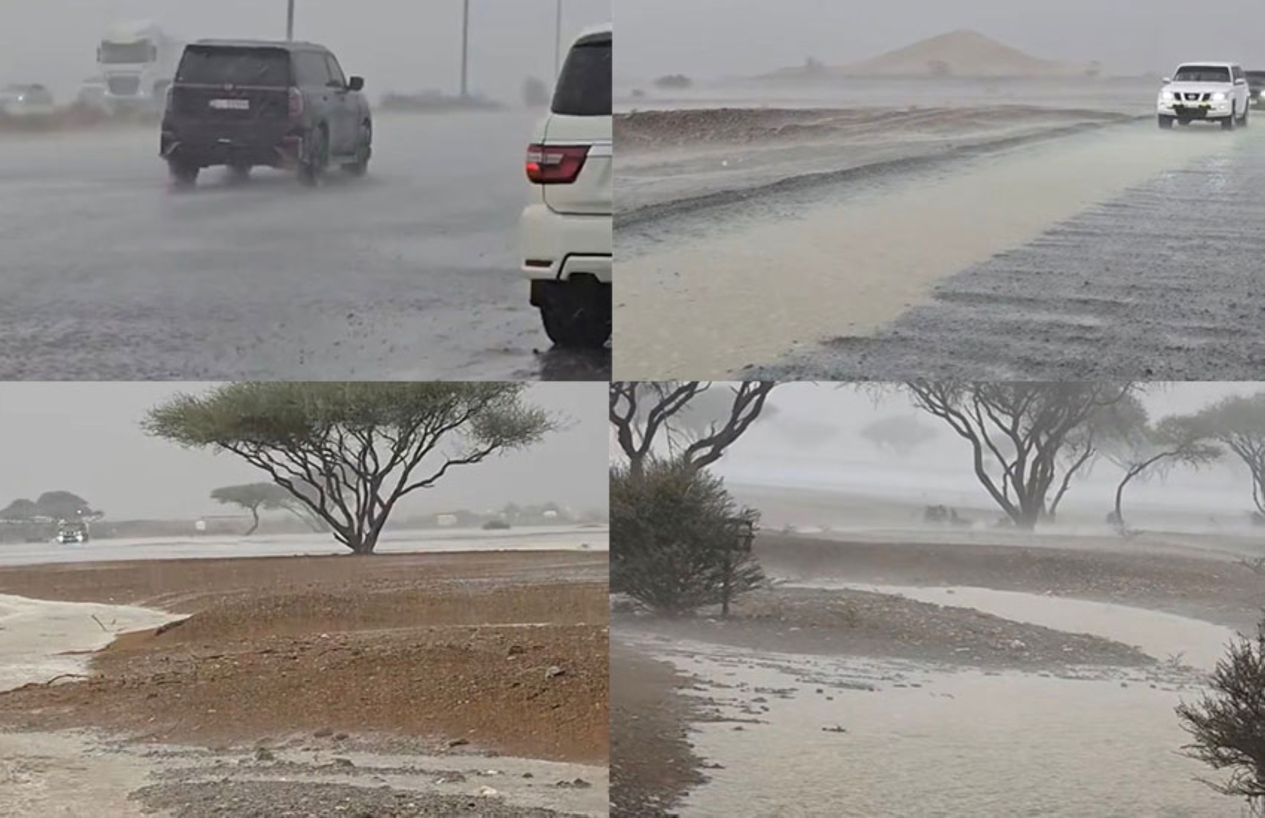 Heavy rain lashes parts of UAE; public urged to exercise caution