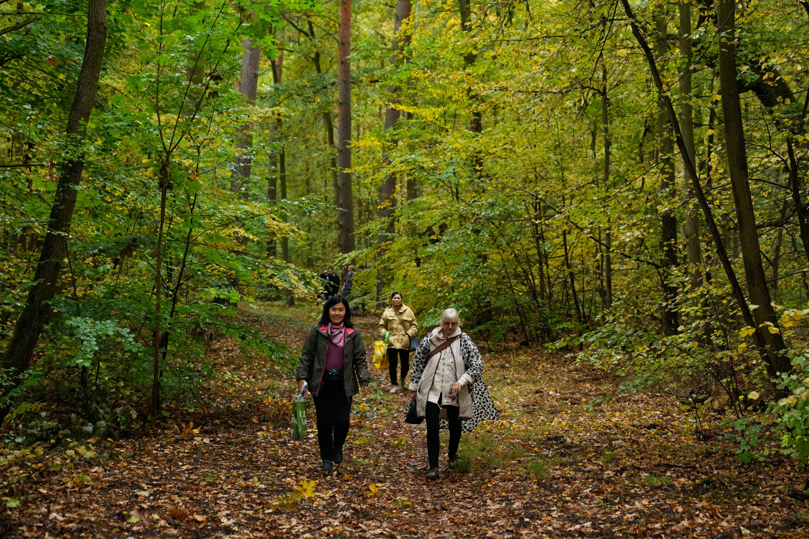 Mushroom collecting in Germany enjoys a revival