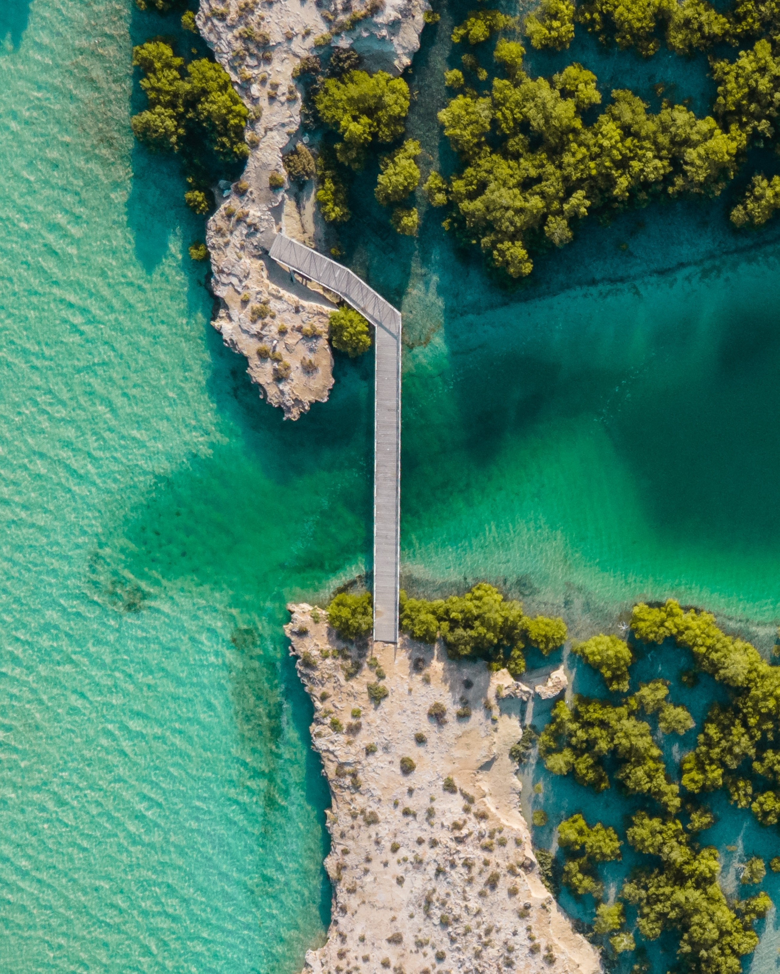 Jubail Mangrove Park in Abu Dhabi. 