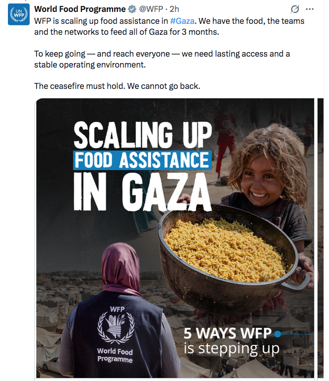 WFP says 560 tonnes of food entering Gaza daily but not yet reaching famine-hit north
