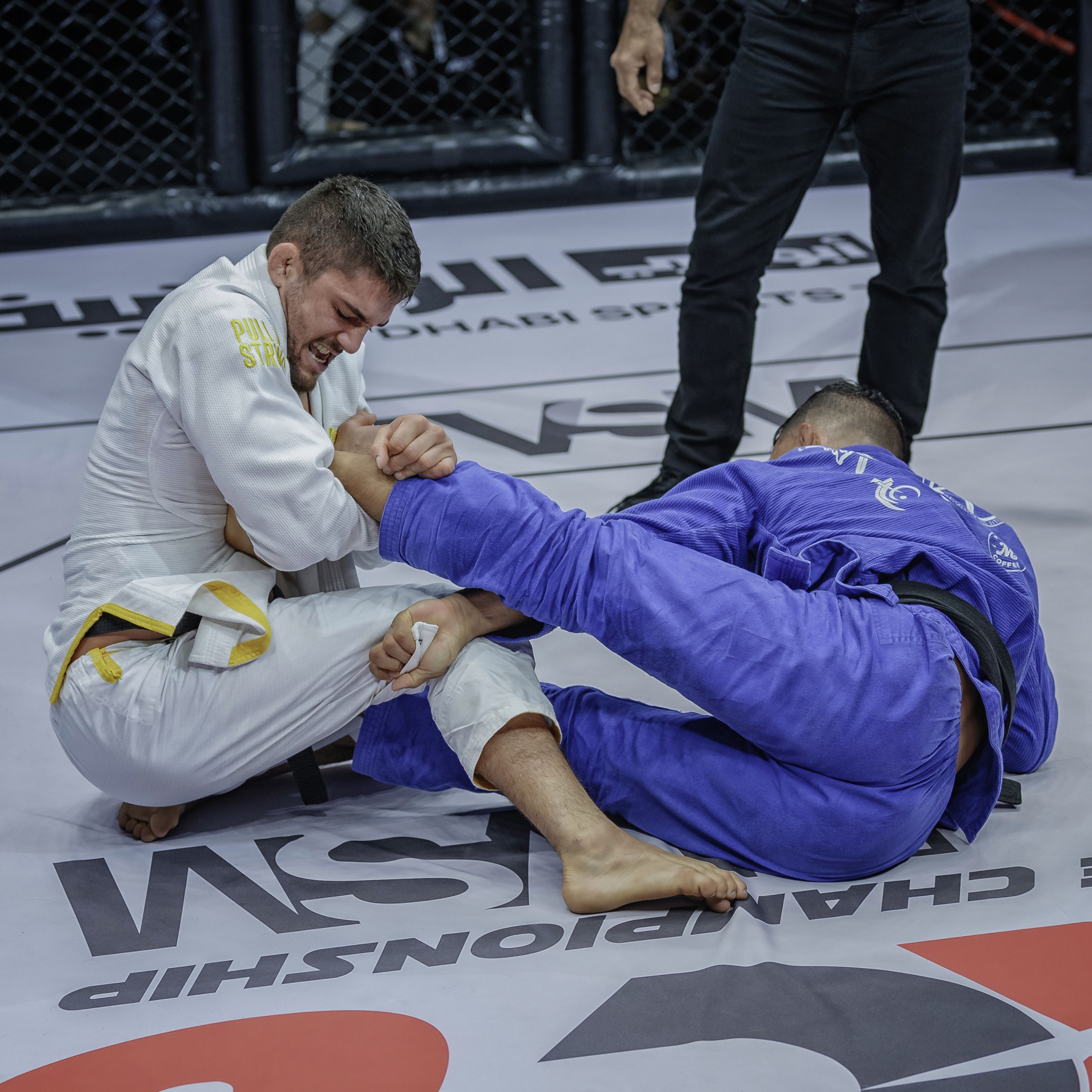 Abu Dhabi Extreme Championship returns to Al Ain for 11th edition