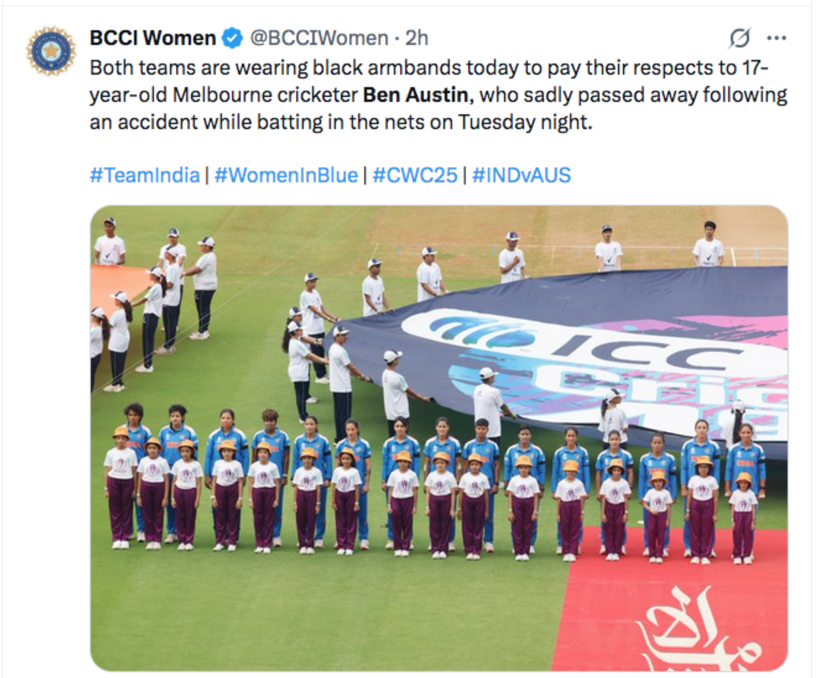 Cricket falls silent across Australia after teenager killed by ball