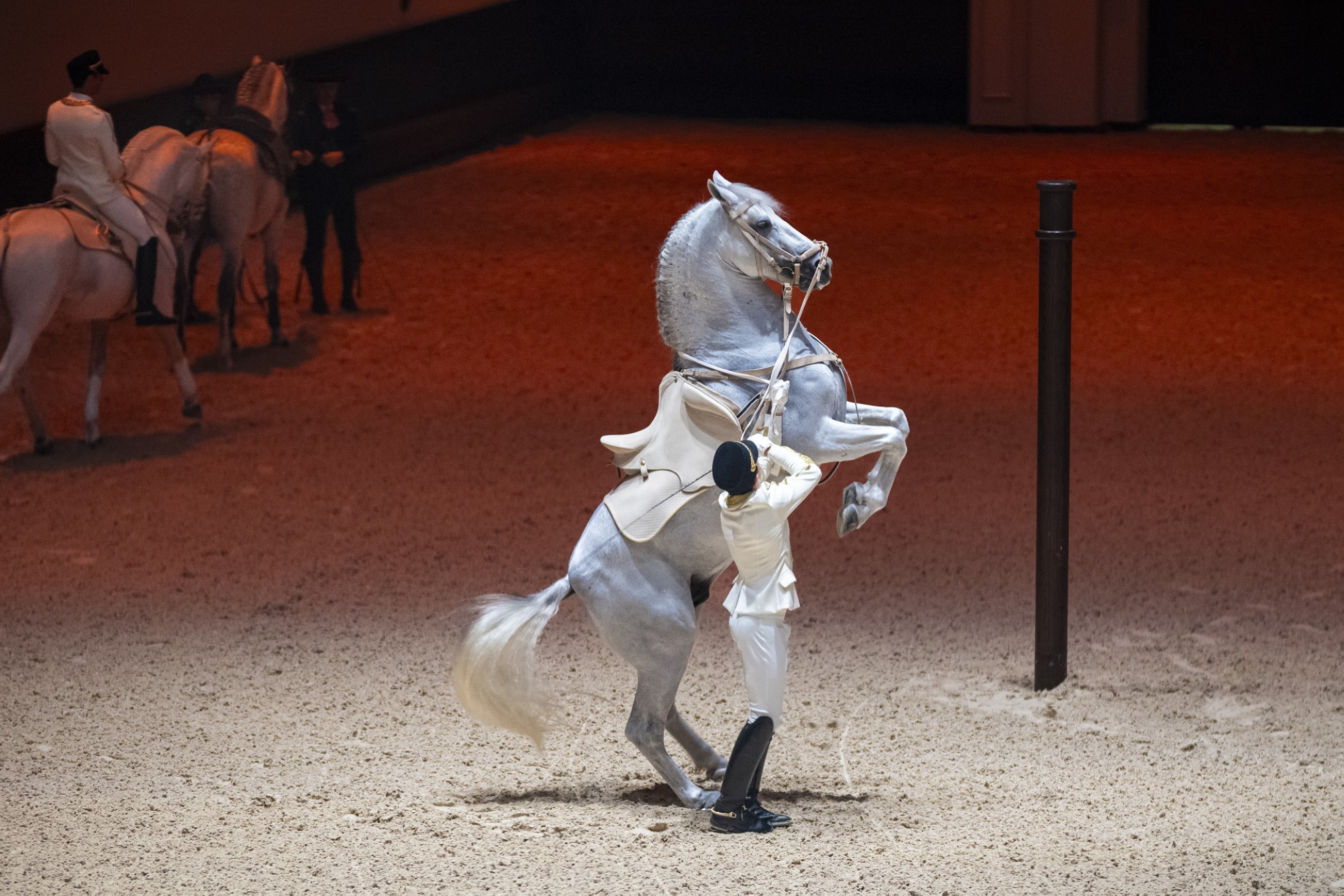 Sheikh Mansour Bin Zayed Al Nahyan inaugurates ADREA on Jubail Island