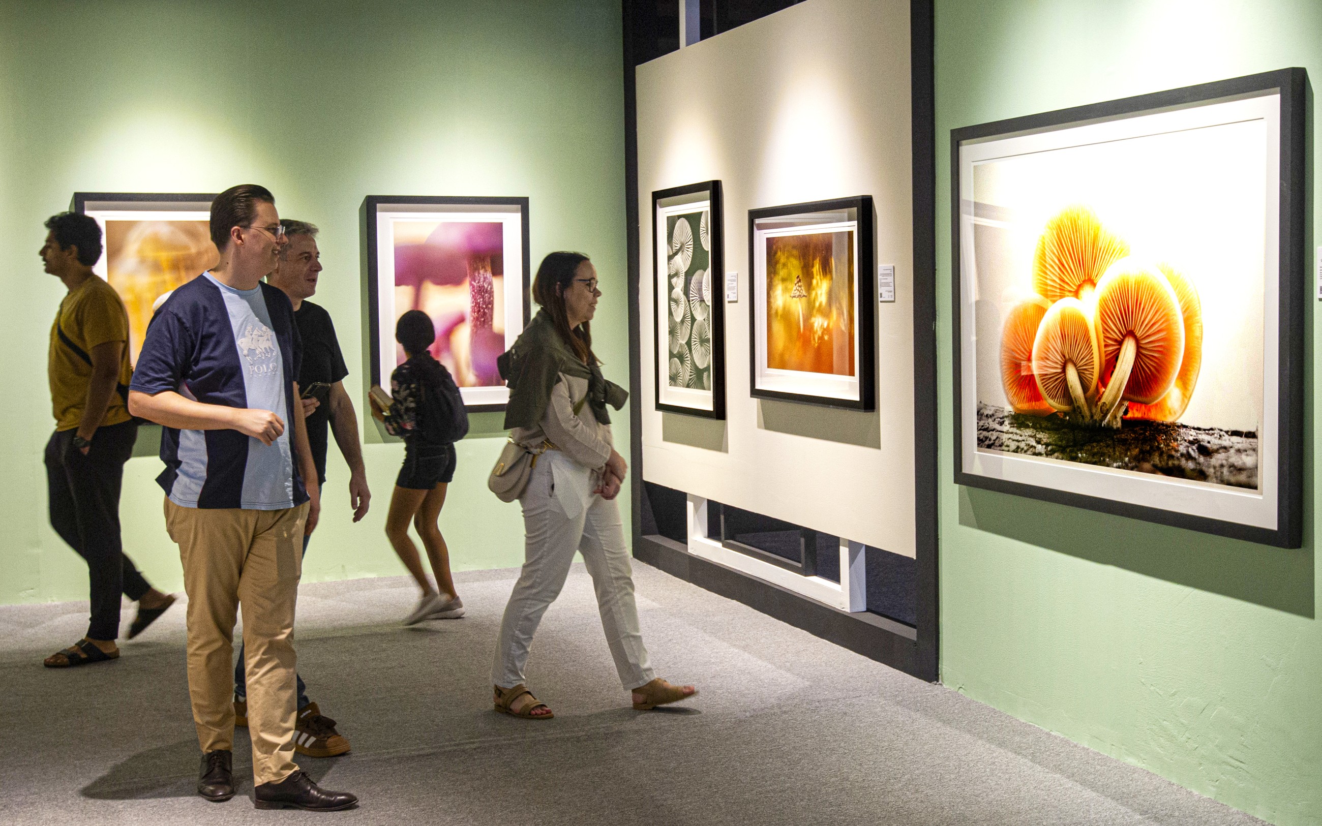 Xposure Awards 2026 attract 29,000 photography, 634 film entries