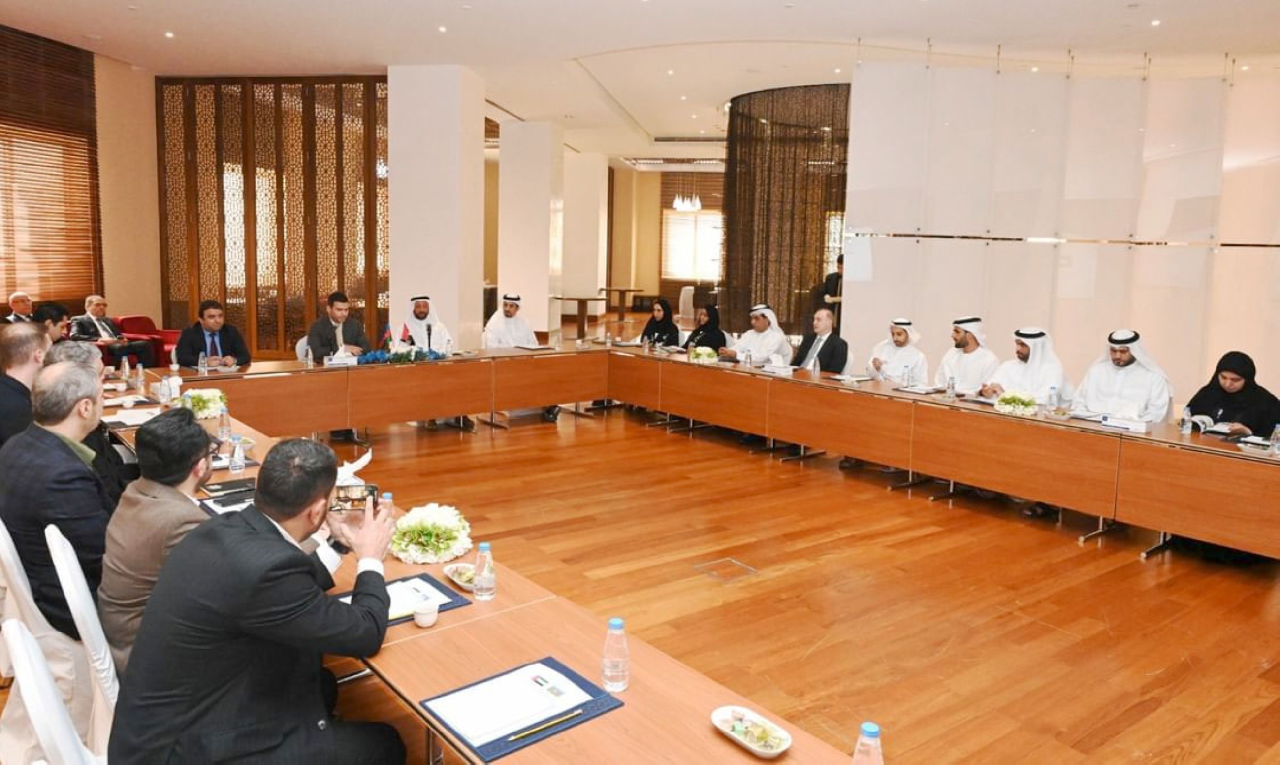 UAE and Azerbaijan to enhance trade, investment co-operation