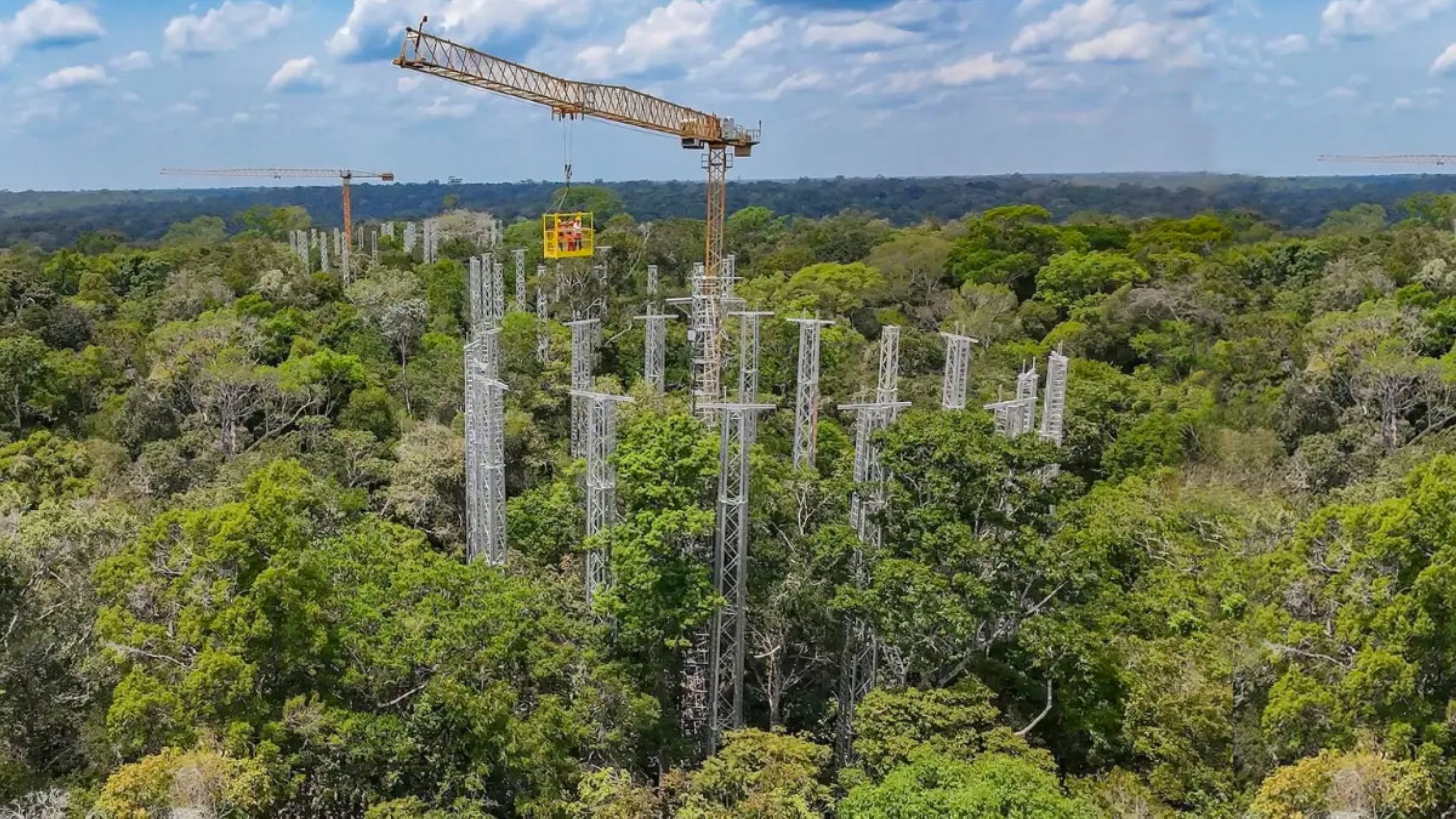 Carbon experiment in Brazil’s Amazon forest