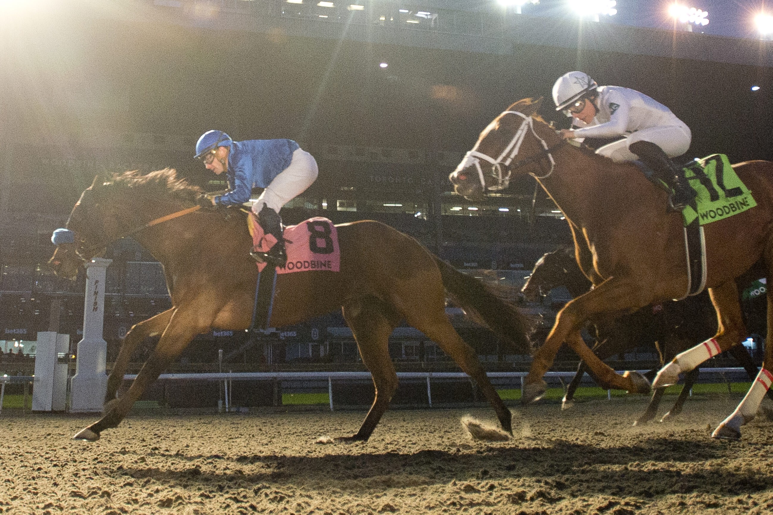 Pondering claims G3 Bessarabian Stakes