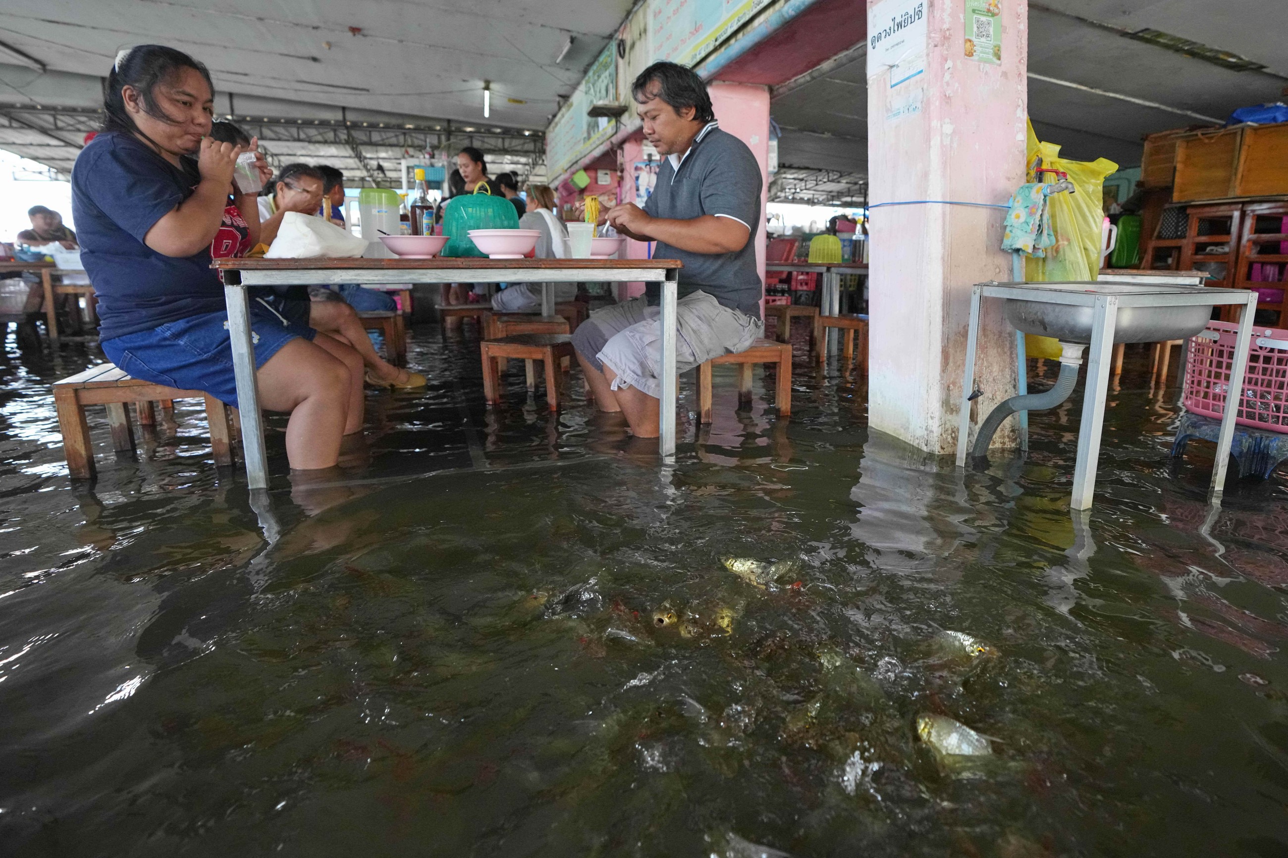 ‘Flooded restaurant’ brings delight with swimming fish among diners