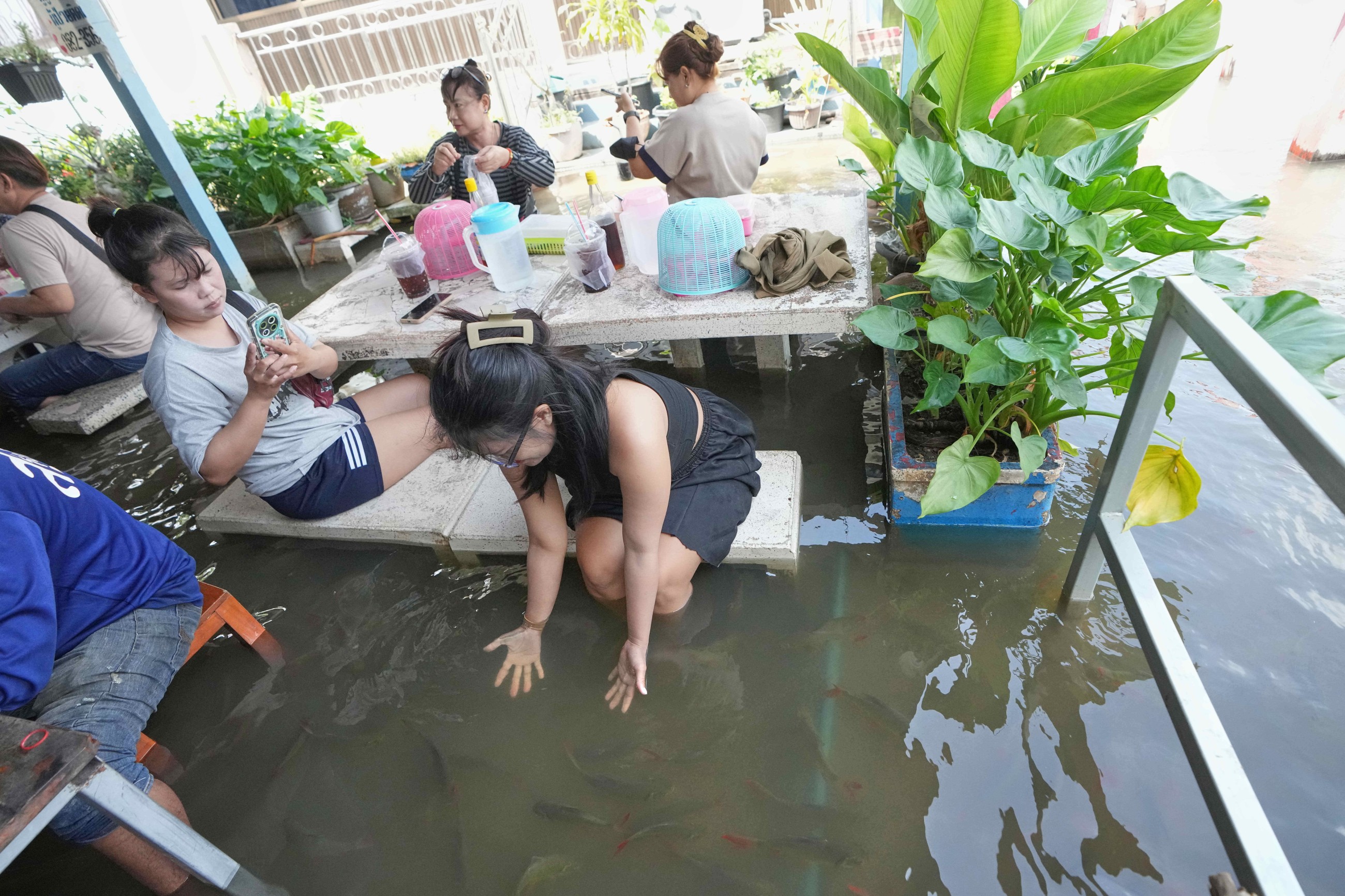 ‘Flooded restaurant’ brings delight with swimming fish among diners