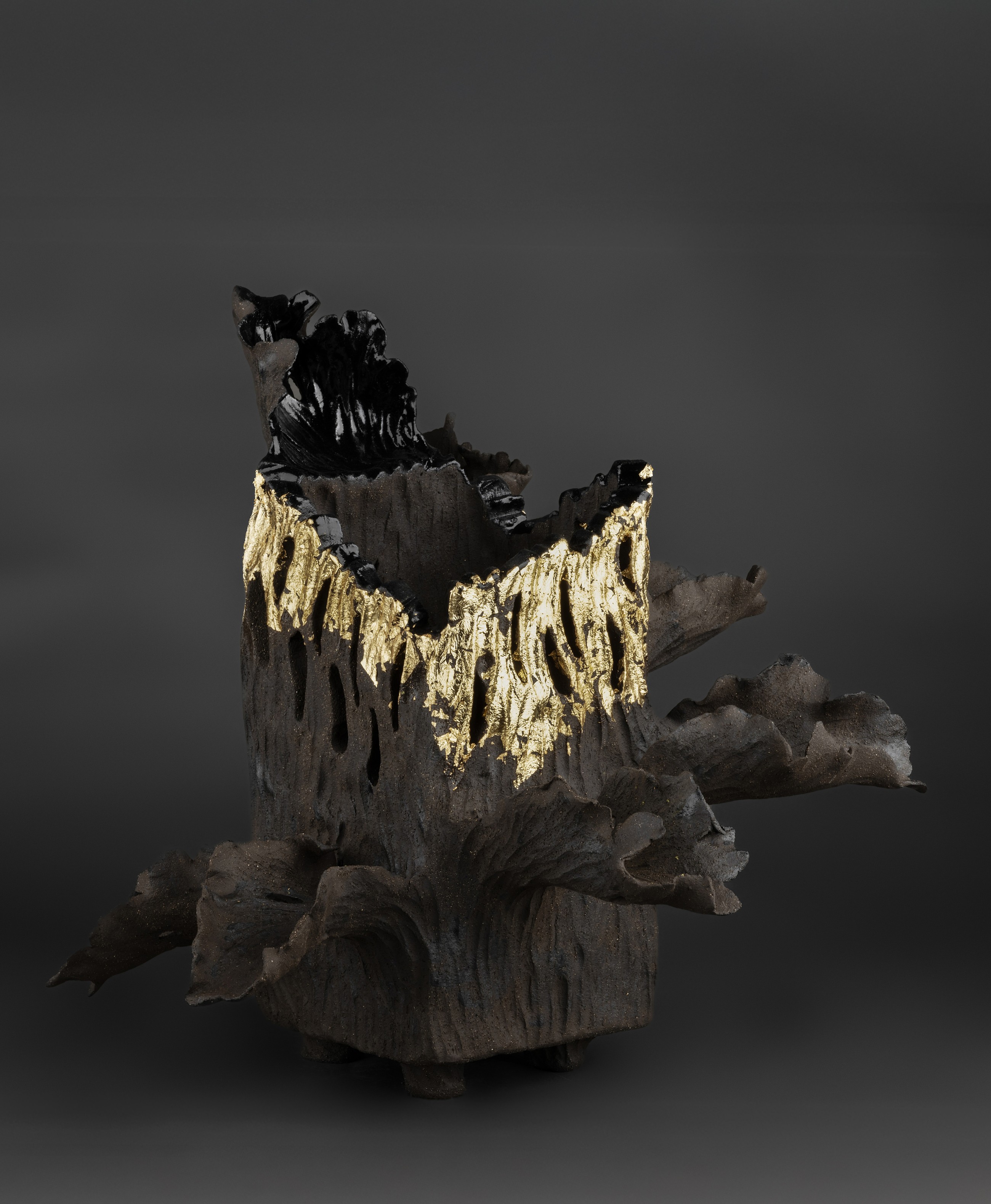 Monochrome Majesty show by Art4you Gallery hosts kaleidoscopic dialogues