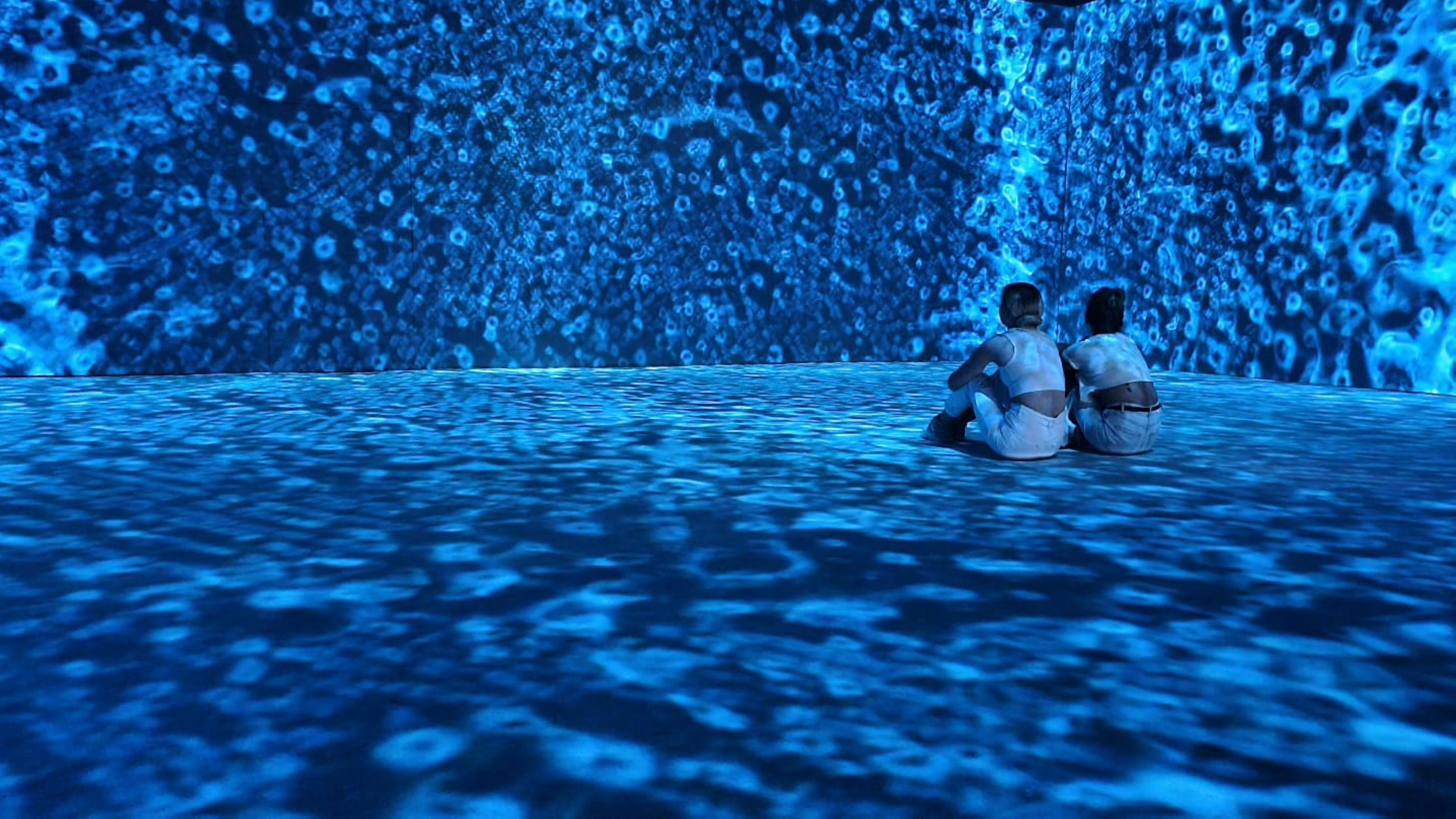 Elevision’s FADA’ and kanvas design an immersive art and light experience