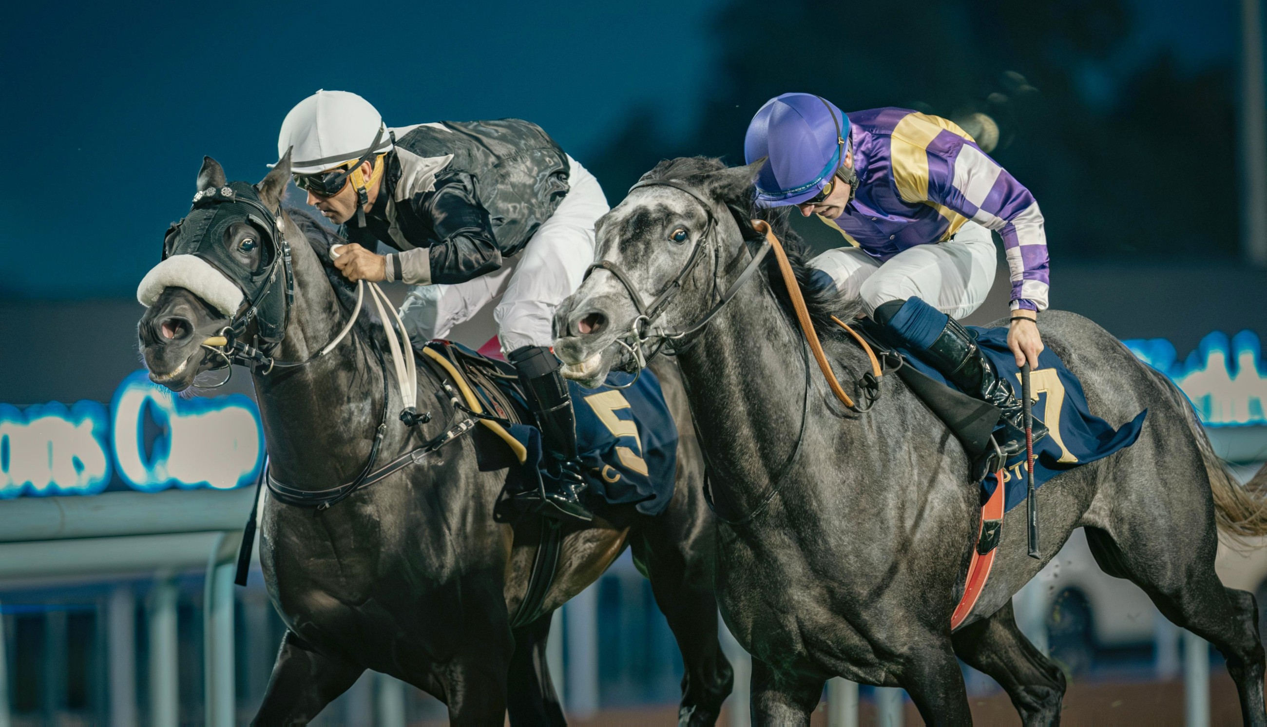 Abu Dhabi Turf Club to host 33rd UAE President Cup for Purebred Arabian Horses