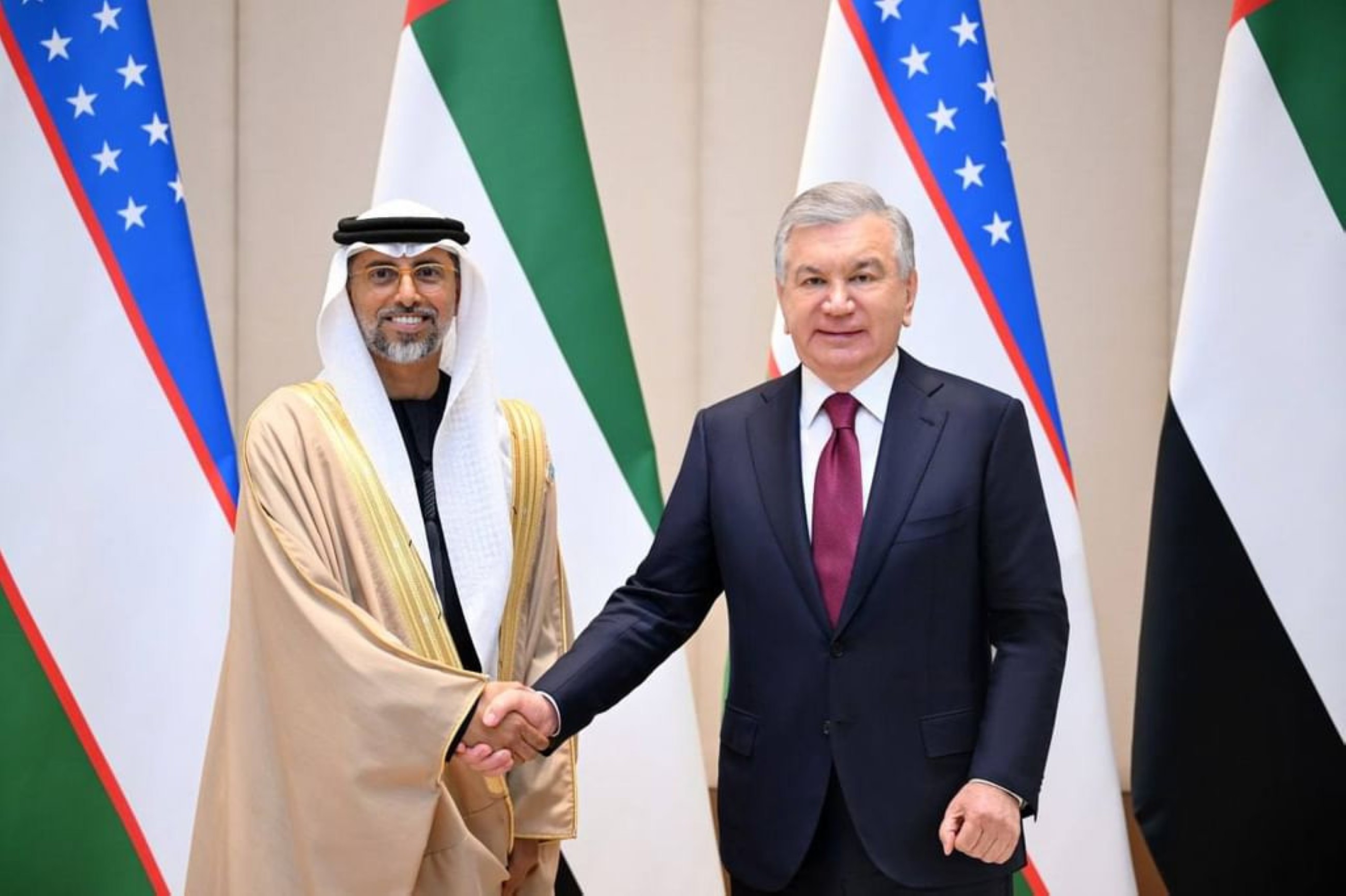 President of Uzbekistan, UAE Minister of Energy discuss bilateral relations