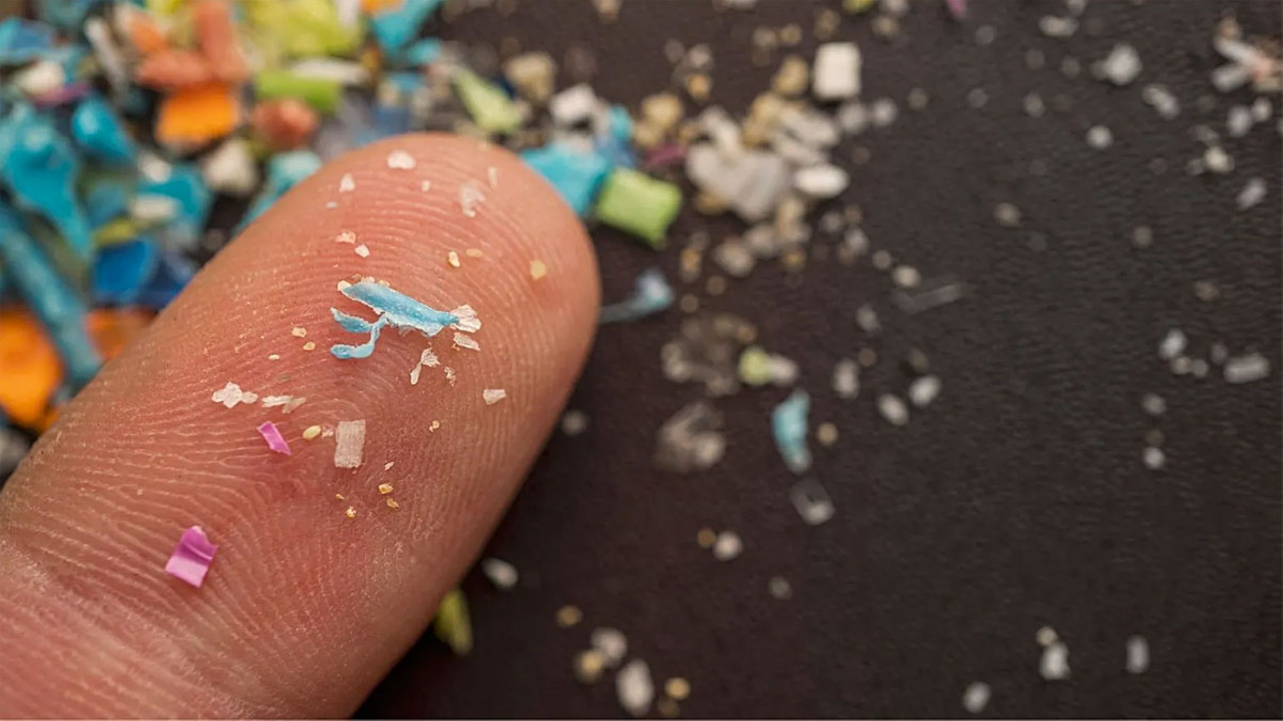 The real microplastics problem isn&rsquo;t in your brain