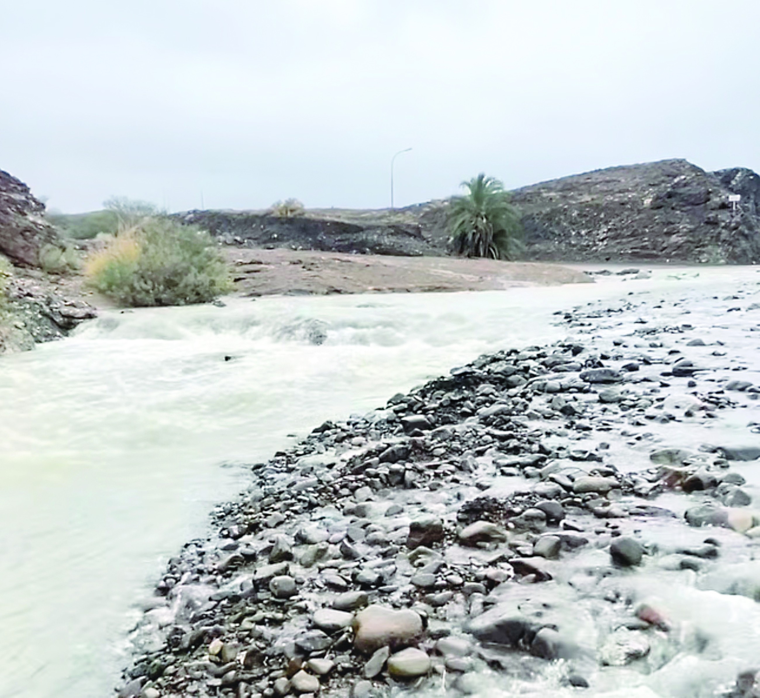 UAE weather body predicts continued rainfall until Sunday