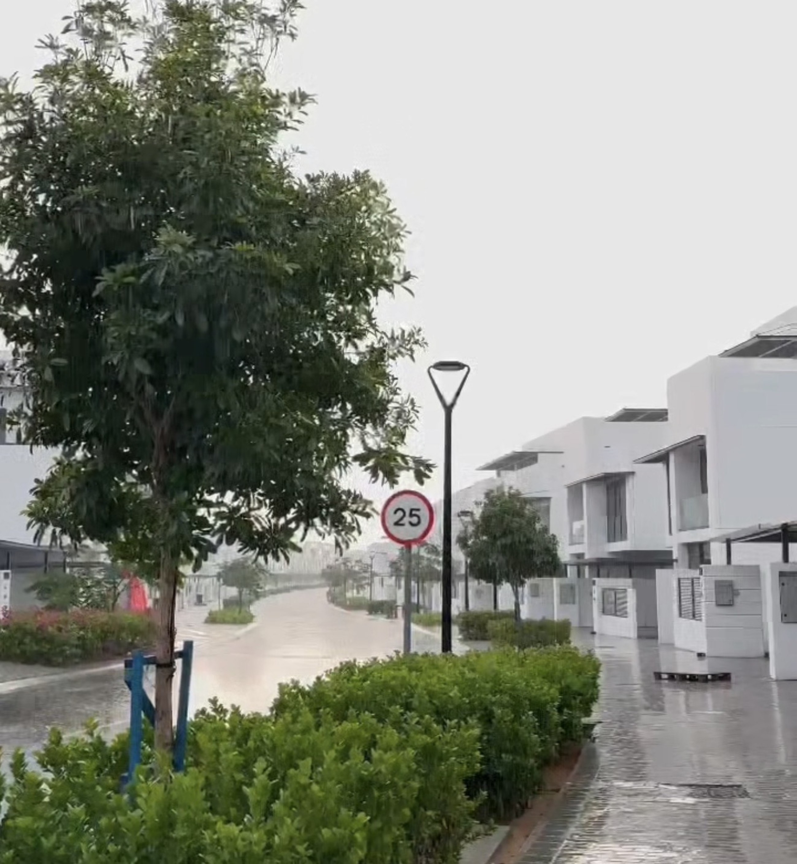 UAE weather body predicts continued rainfall until Sunday