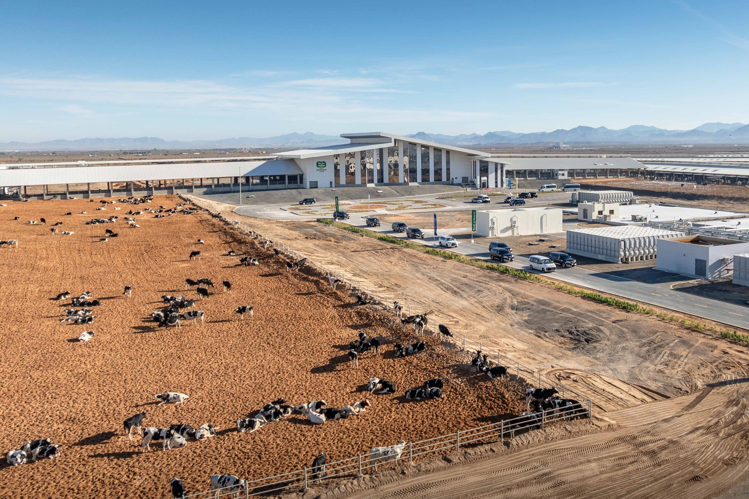 Sheikh Sultan opens Mleiha dairy factory, receives Guinness World Record certificate