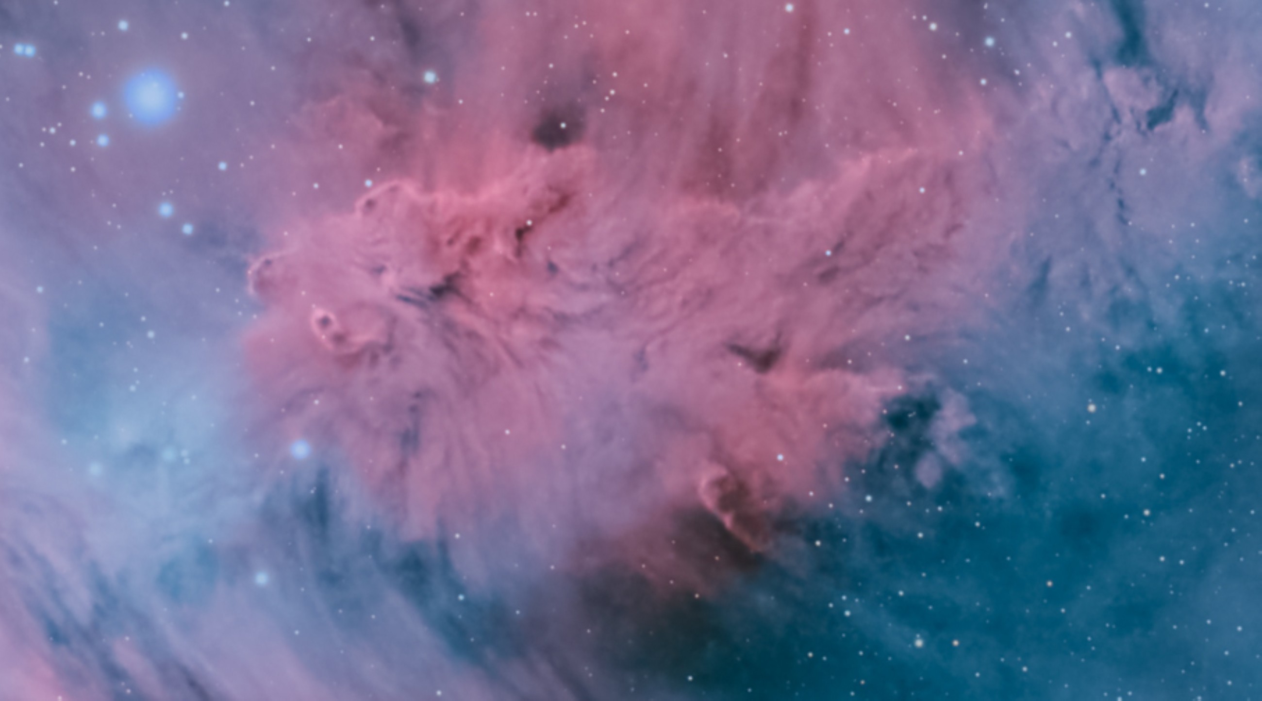 Stunning image of ‘Christmas Tree cluster’ captured in Abu Dhabi