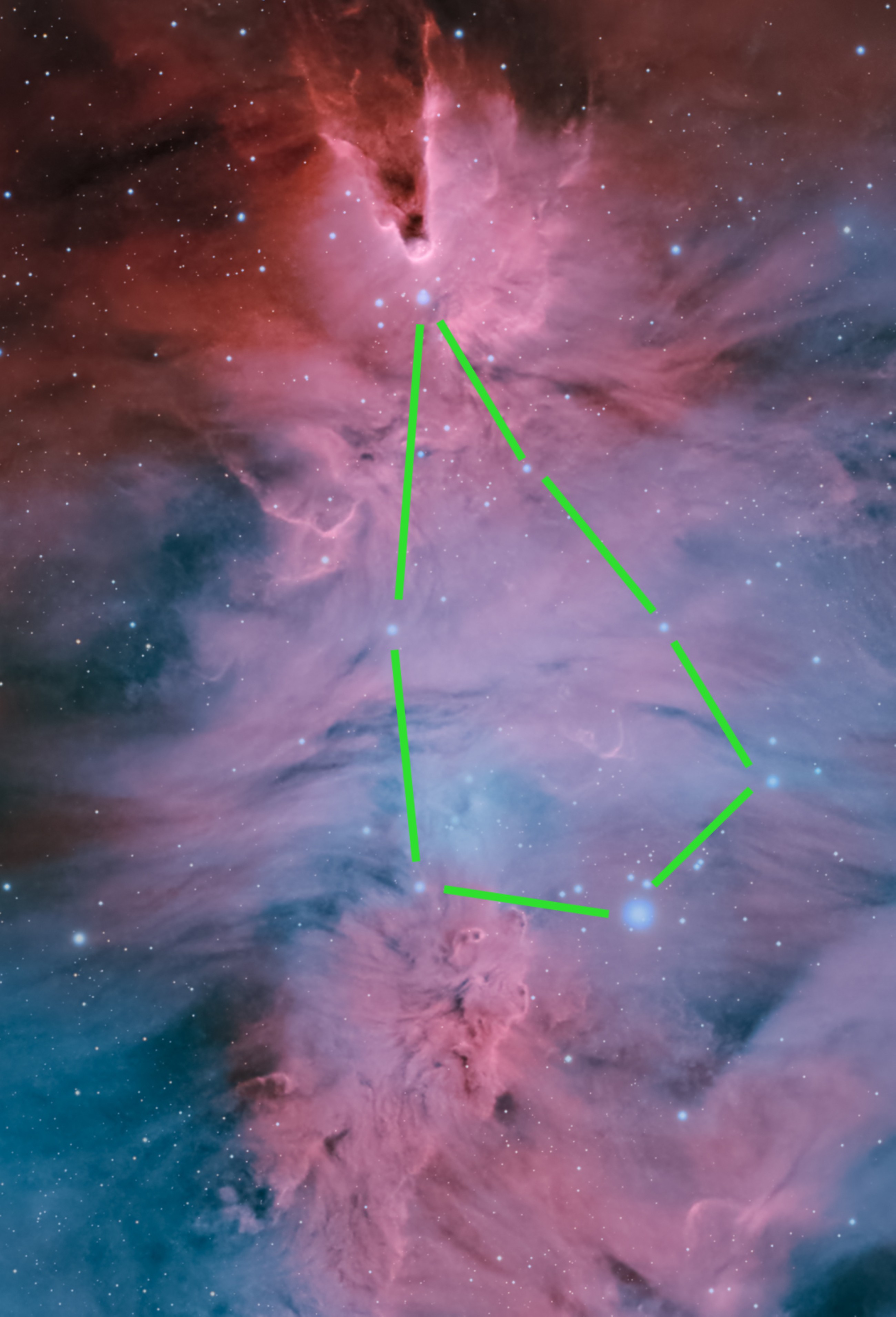 Stunning image of &lsquo;Christmas Tree cluster&rsquo; captured in Abu Dhabi