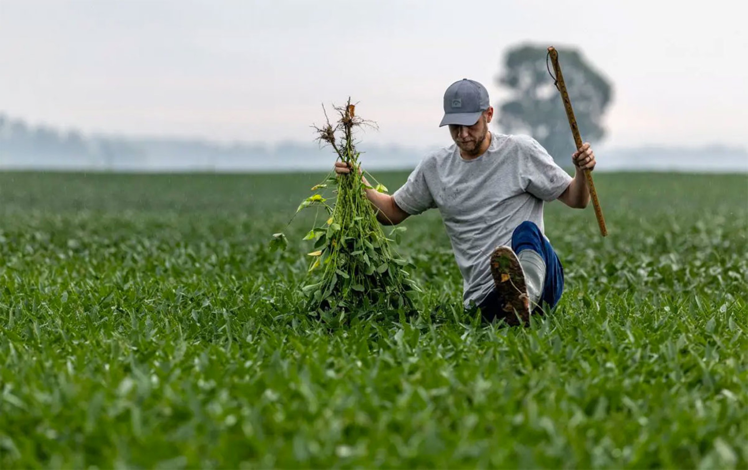 Farmers should unite to fight unfair trade policies