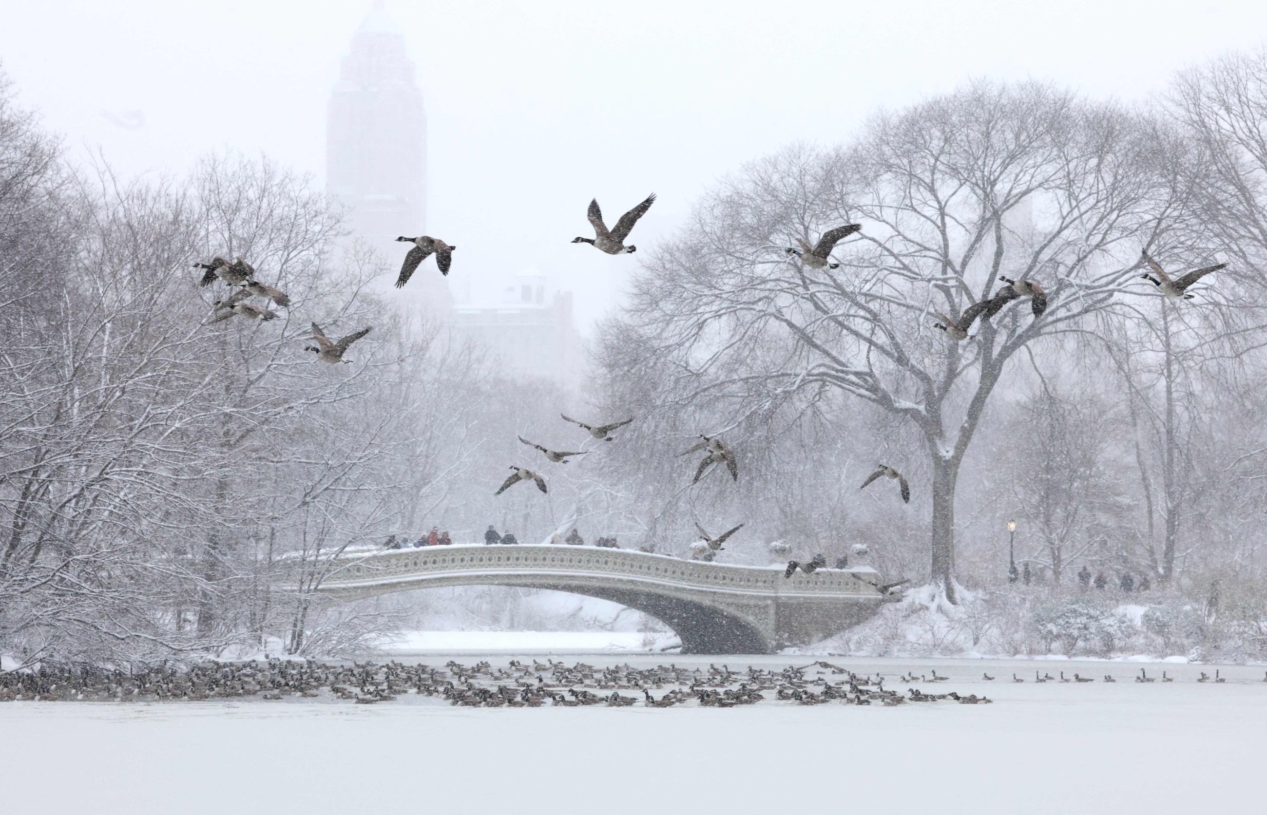 Thousands of flights hit as winter storm pummels US
