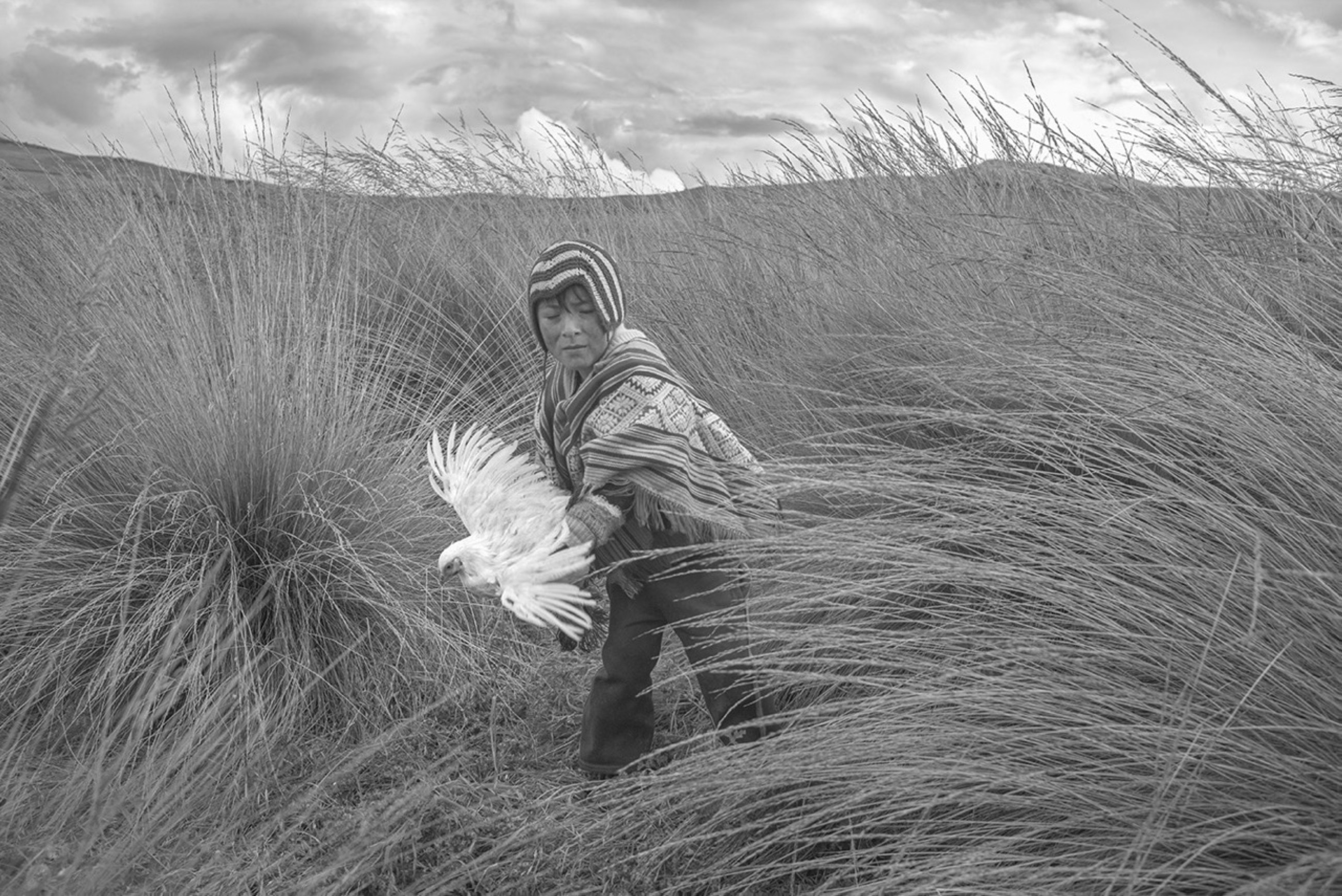 Sharjah's landmark 10th Xposure festival begins on Dec.29