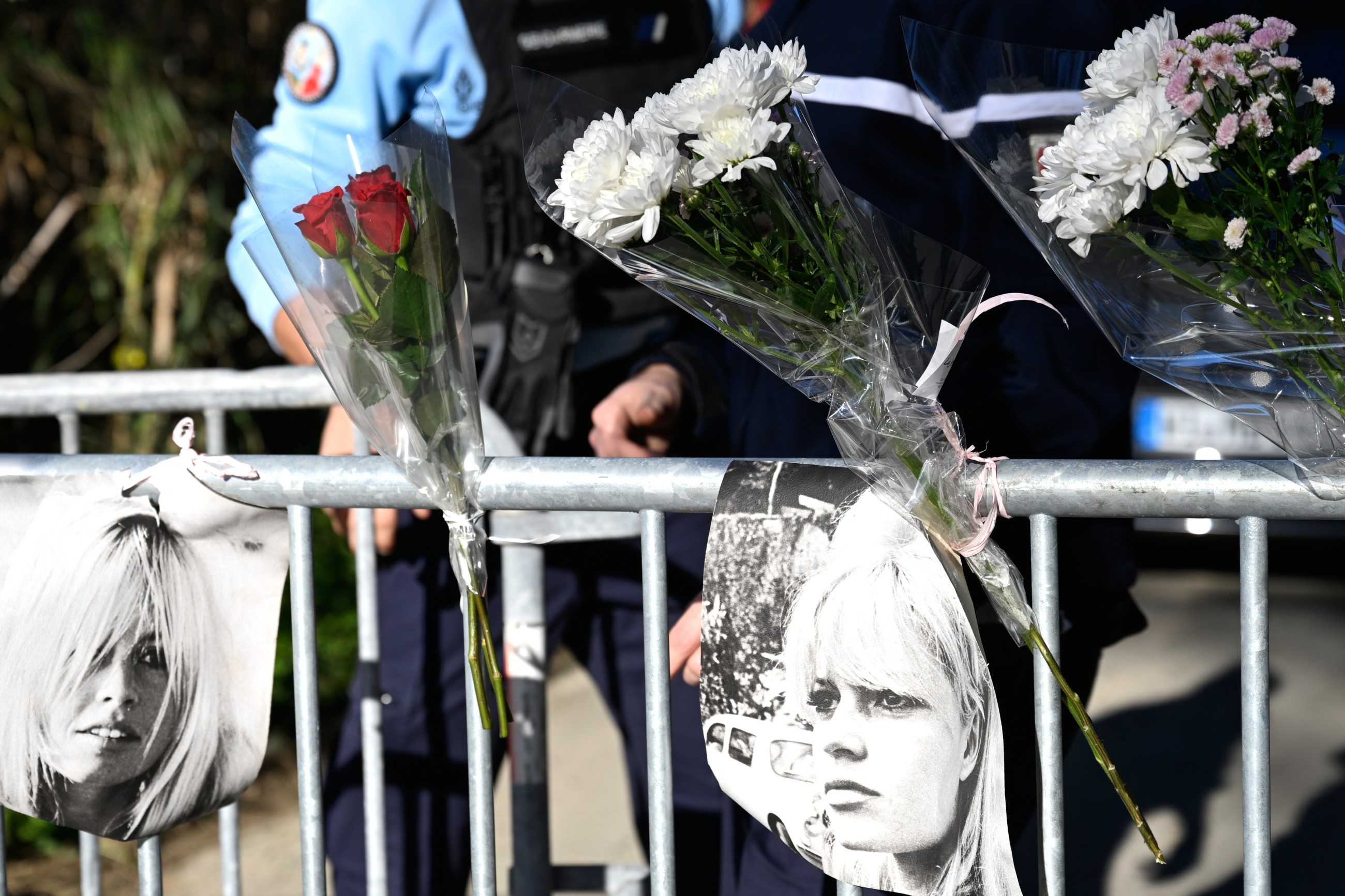 Brigitte Bardot, French icon and 1960s sultry siren, no more