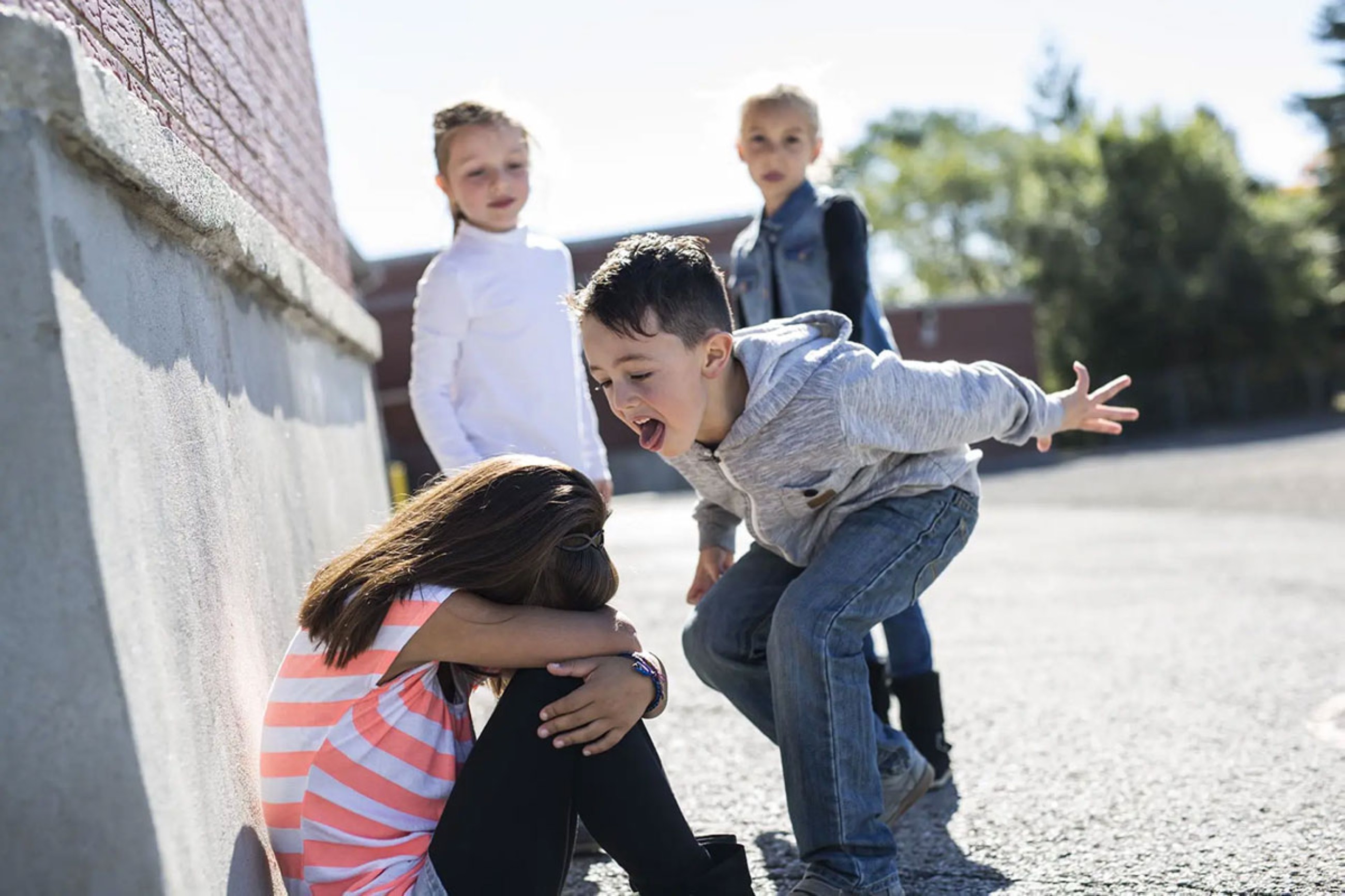 Why bullying damages kids and what parents do