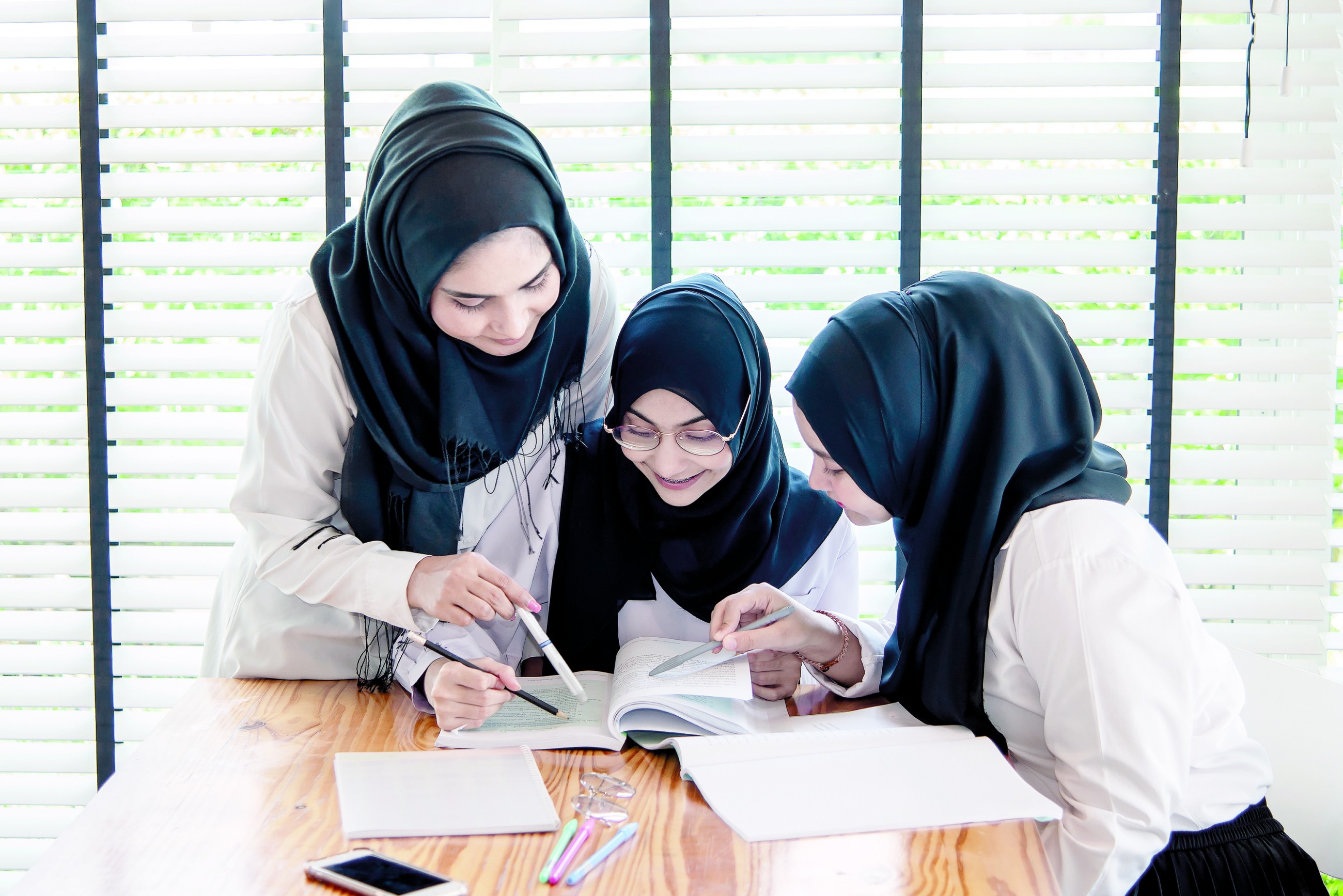 UAE issues federal decree law on governance of national educational curriculum