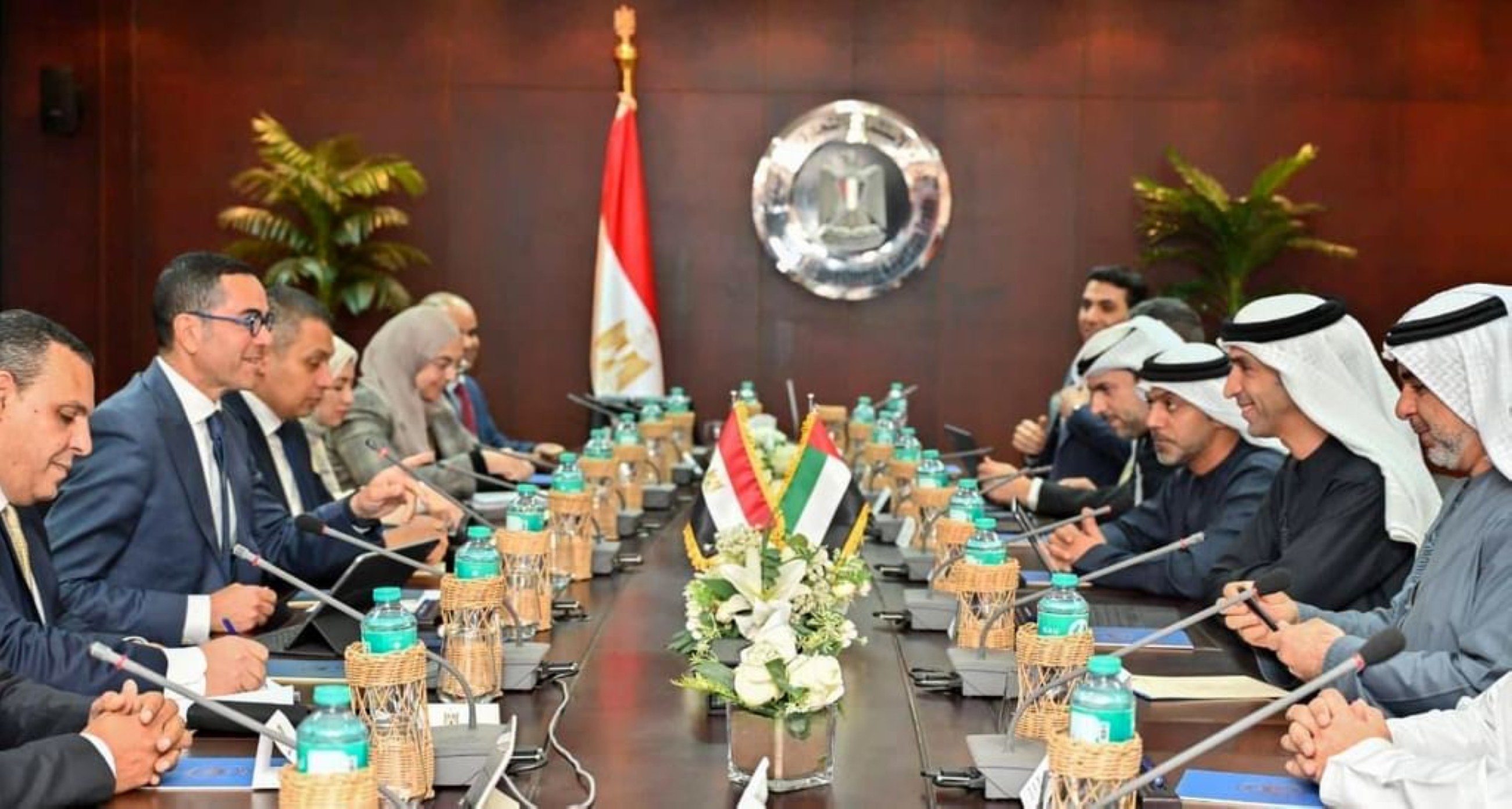 UAE and Egypt to strengthen bilateral economic relations