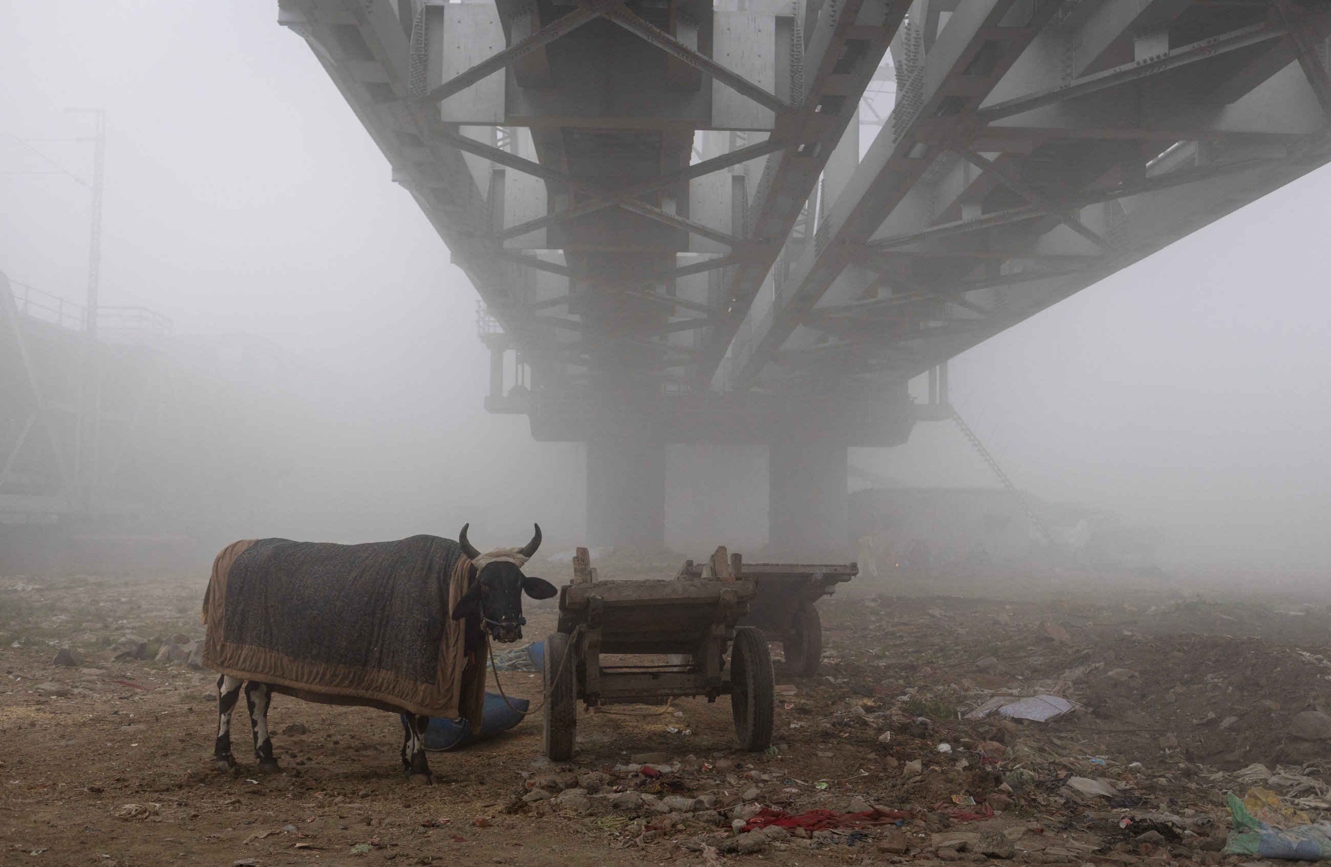 Dense fog disrupts life in Indian capital, many flights delayed