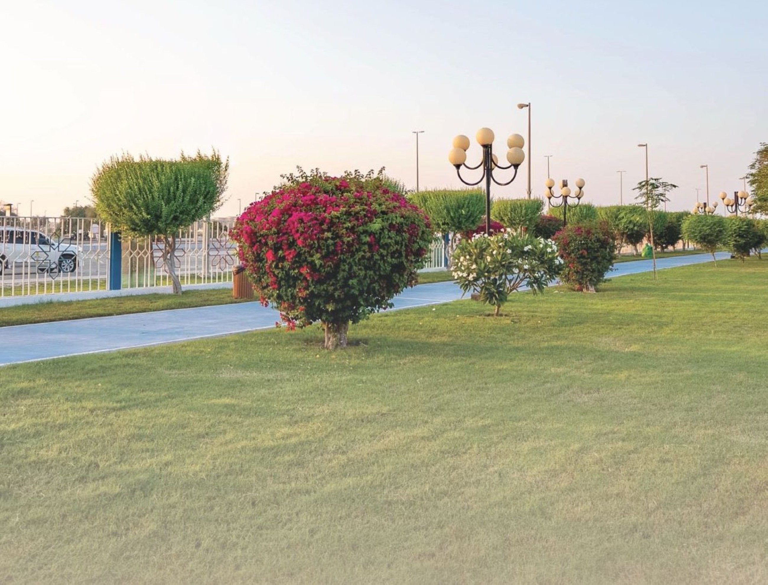 Al Dhafra Municipality urges public to avoid fines on camping in public places