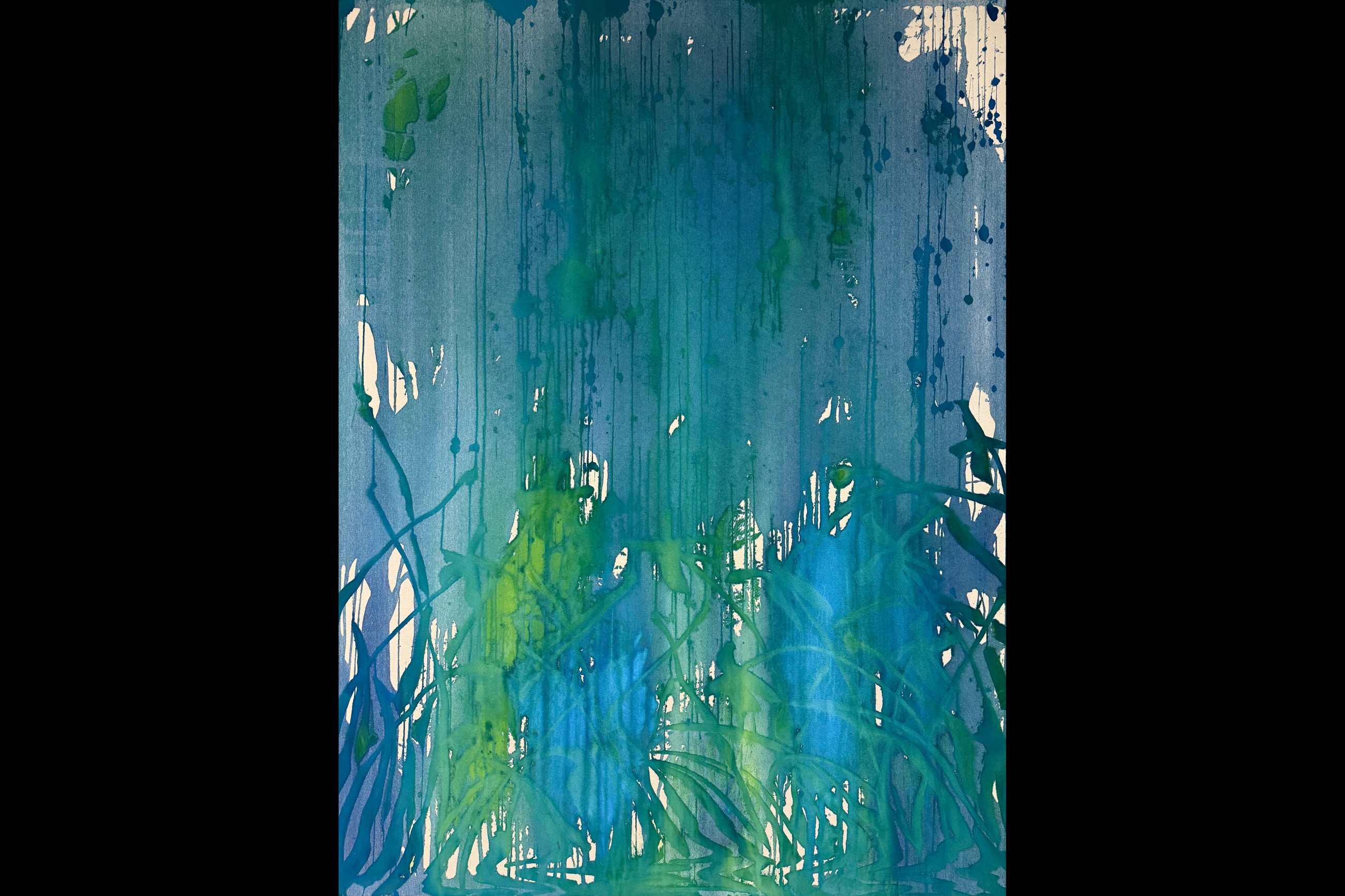 Saif Azzuz underlines significance of water in UAE life at Lawrie Shabibi