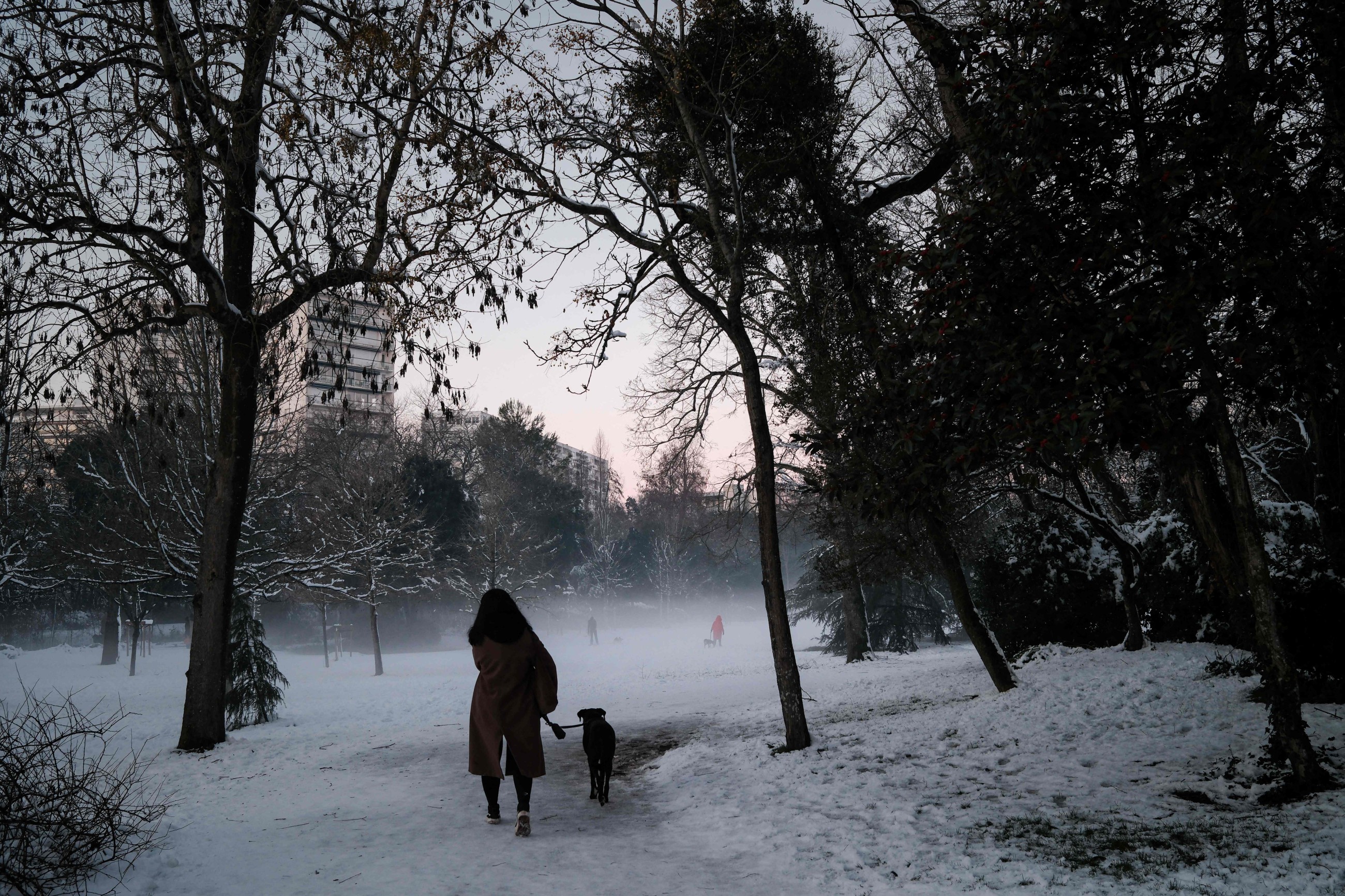 UAE urges citizens in France to exercise caution due to snow