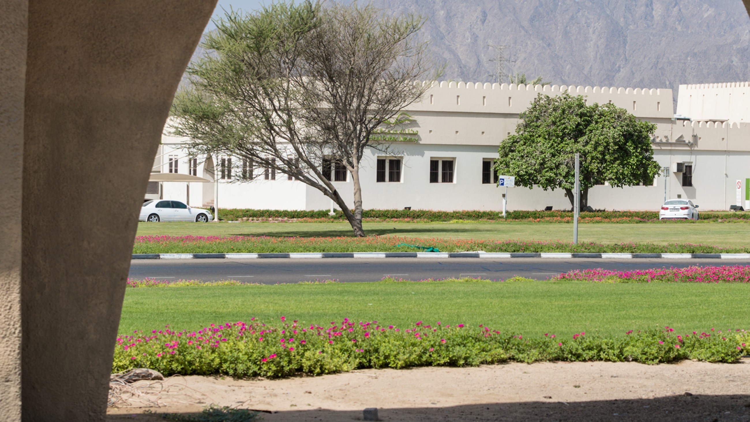 Jewel to novel: Dubai Culture & Arts Authority events cover a wide range